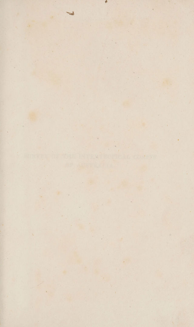 digitised image 3