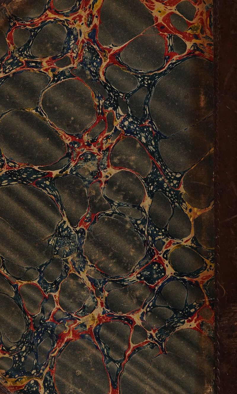 No text description is available for this image