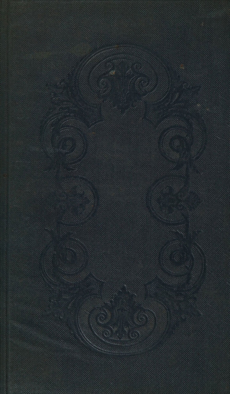 No text description is available for this image