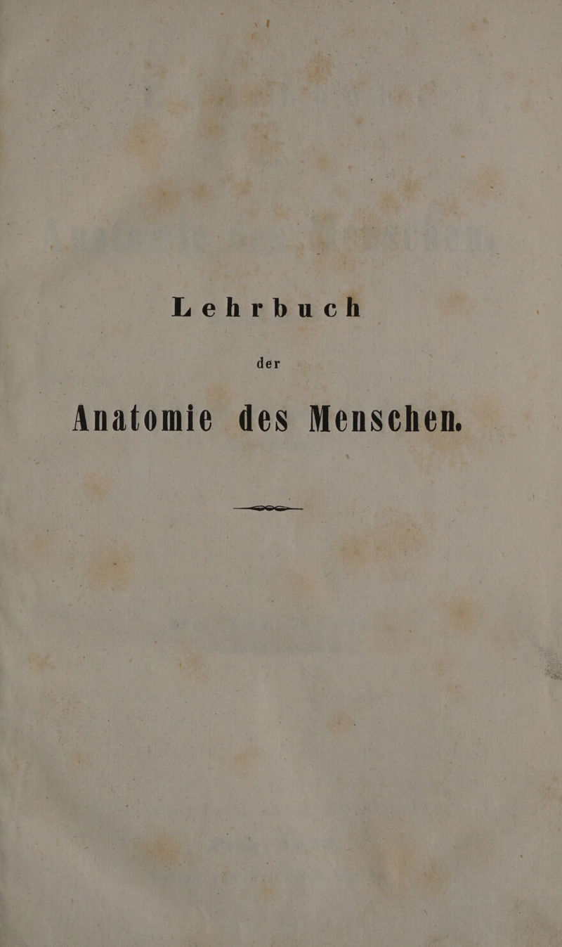 der Anatomie des Menschen. ———