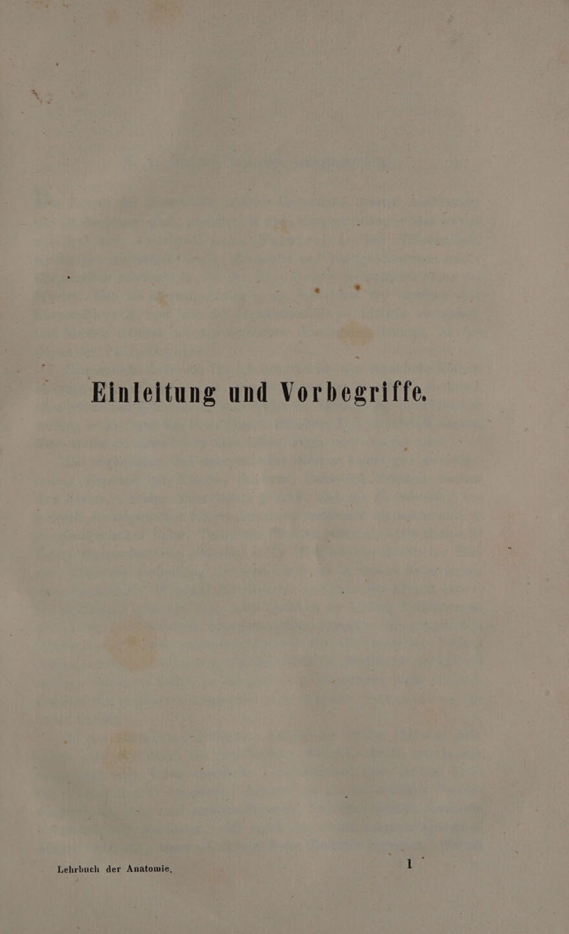 Einleitung und Vorbegriffe. Lehrbuch der Anatomie,