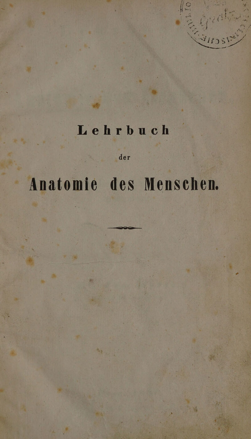 / i fi R “ Hl LA f 4 \6 \? \ » .M bat &amp; en ? s SE: PR FeRe - ie PRNSey 2 a 5: 4 hr“ ER die b Fi fin } ir EN Ar: LP en or RR N w REN. wa N; NR 795 % BER * Lehrbuch der ’ Anatomie des Menschen.
