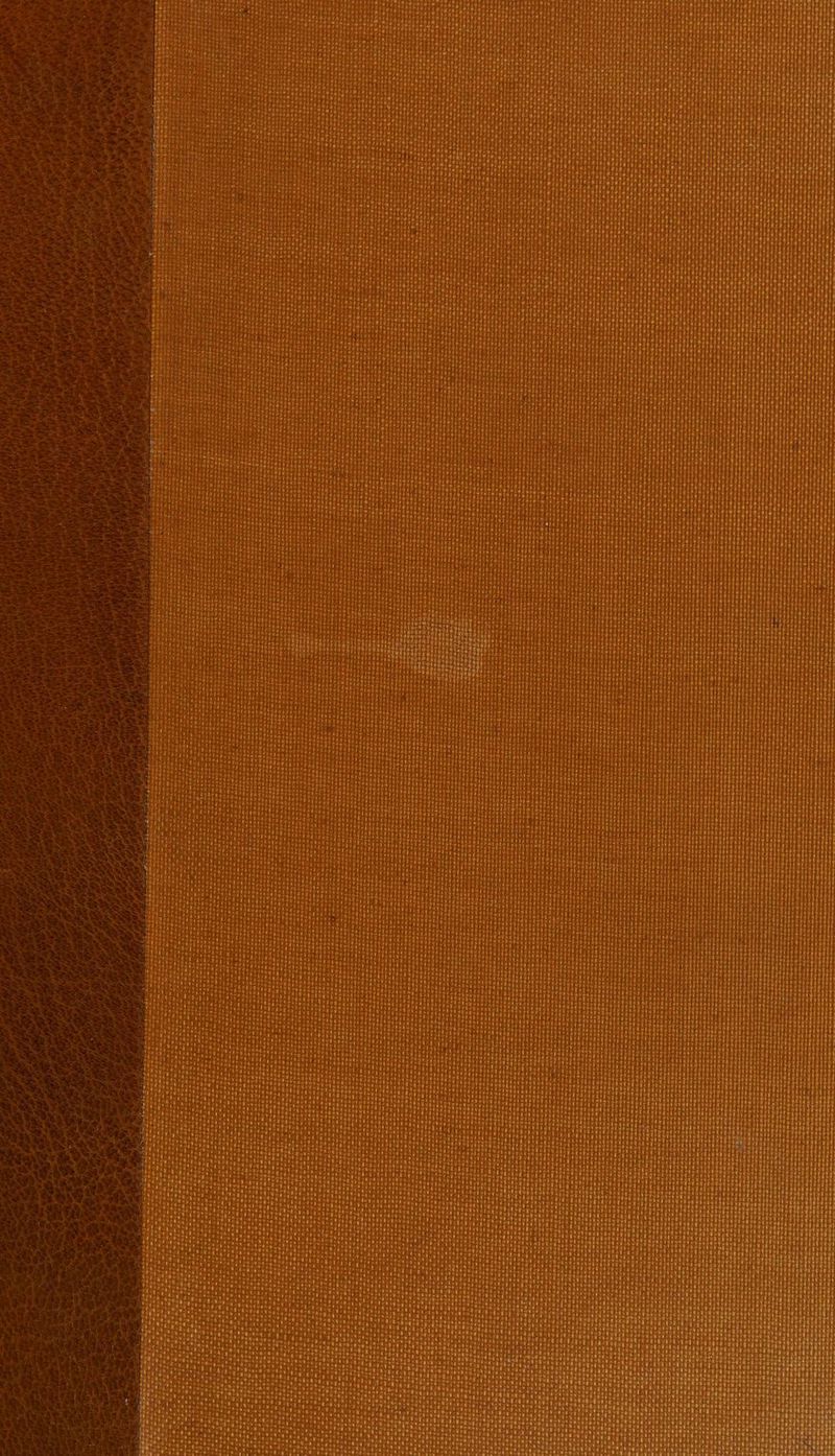 cial eddies puceeetoge iter Tet saeSe2