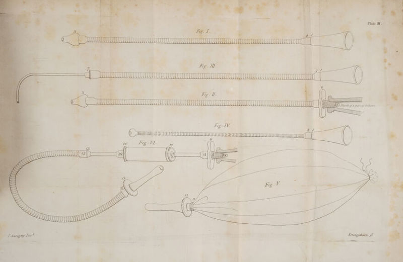 io bat ded ‘ial st AA UTR TRUURET CCUCUCeetCtet aan cece te “ ne 4 a A Fig HDT, iat a Digit CECCECEUECMRERCCUCECEOECCEC a ea 7 hig. IL ae cr MUU CUU CU EUHERCEETCCCCCCEUECEHICE ACC (io Rae ii a paar of bellon's. “SS SSS nT RE Lie * j : Face AUCCUCENCCTITD all <p S Qa S ' ‘ Ps An Strongubarm fc. 4 j : 7 Bs i