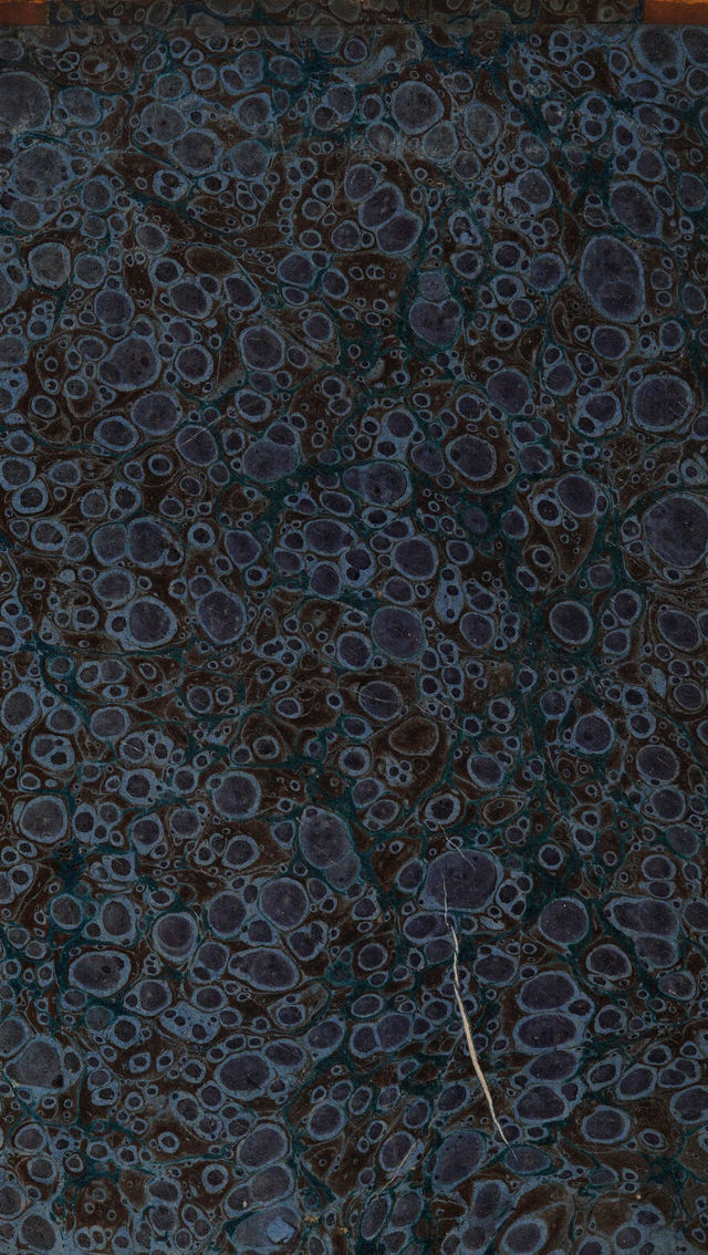 digitised image 2