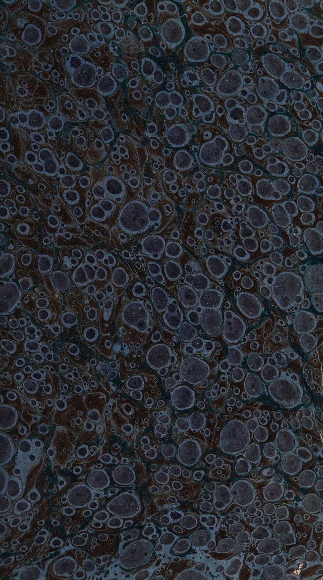 digitised image 3