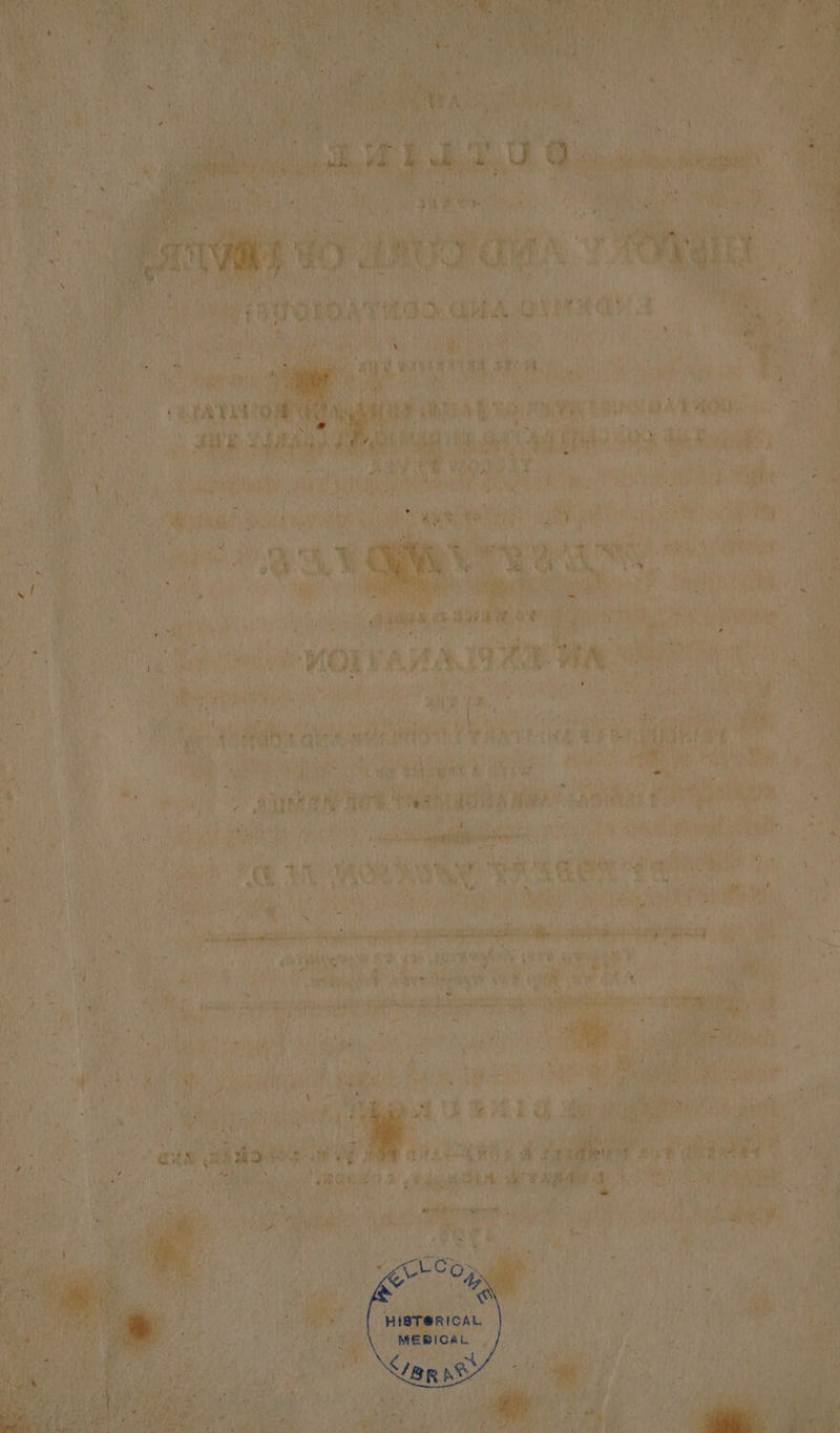 “ iy KA sel Sef a aa “mf sii f ) wy