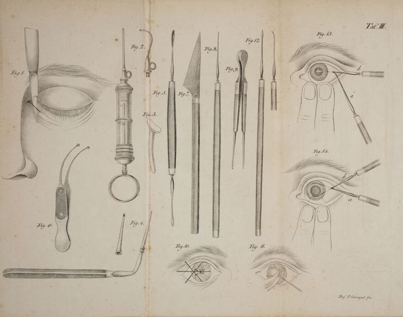 ’ a N . | ’ : 6 il ! I S x o errranrennnn ae n ee e RRETATTTTTN 2 = h \ ) y z \ 1 ‘ 2 S 1) u, « » = m E  E x ’ N \ ’ e D g