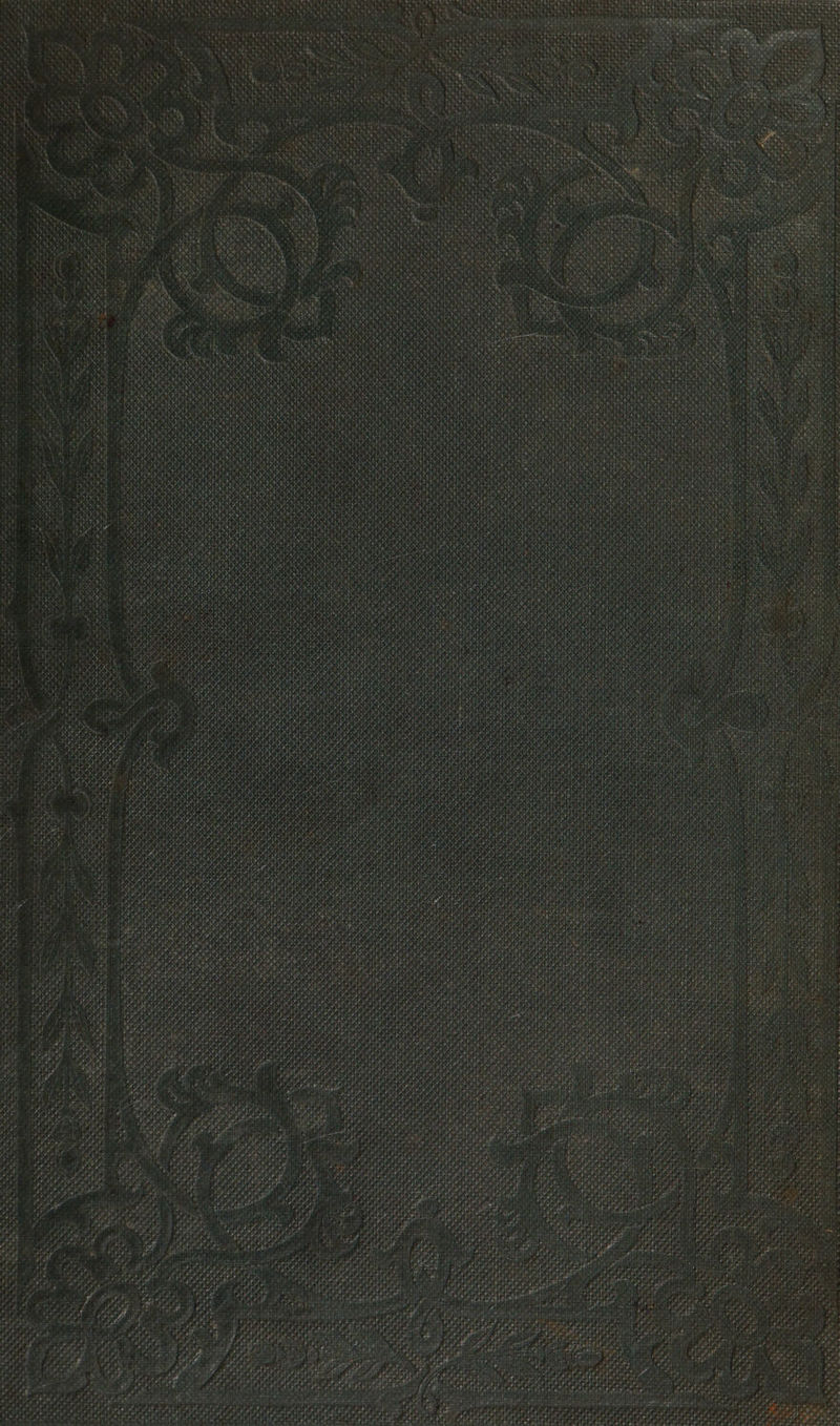 No text description is available for this image