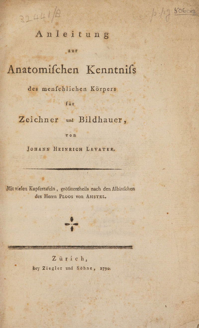 AN a, Anatomifchen Kenntnifs s menfchlichen Körpers: % M für Zeichner wa Bildhauer, d von Jouann HEINRICH LAYATER. ERLEBEN REIESSRONEEEERENE EEE Euer nun i us $ ‚Mit vielen Kupfertafeln , gröfstentheils nach den Albinfchen des Herrn PLoos von AMSTRL.