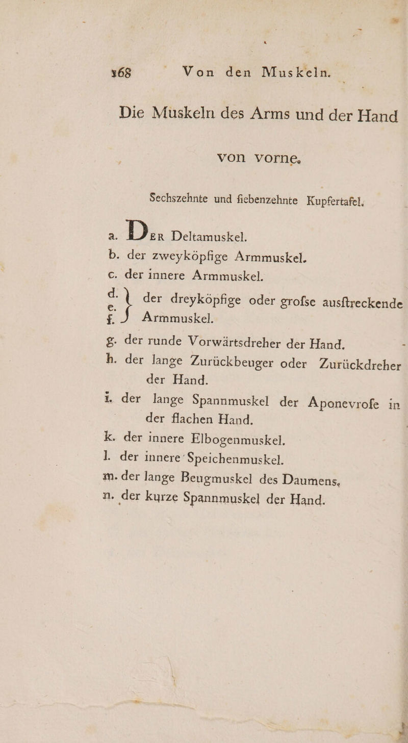 [3 168 Von den Muskeln. Die Muskeln des Arms und der Hand von vorne. Sechszehnte und fiebenzehnte Kupfertafel, 2. Da Deltamuskel. b. der zweyköpfige Armmuskel. ce. der innere Armmuskel. e} der dreyköpfige oder grofse ausftreckende £J Armmuskel. g. der runde Vorwärtsdreher der Hand. h. der lange Zurückbeuger oder Zurückdreher der Hand. i. der lange Spannmuskel der Aponevrofe in der flachen Hand. k. der innere Elbogenmuskel. l. der innere Speichenmuskel. m. der lange Beugmuskel des Daumens, n. der kurze Spannmuskel der Hand.