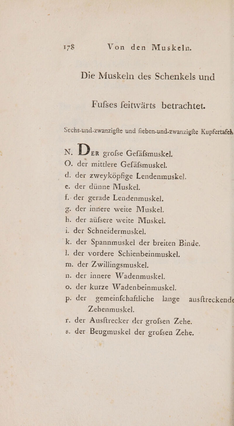 Die Muskeln des Schenkels und Fulses feitwärts betrachtet. Sechs-und-zwanzigfte und fieben-und-zwanzigfte Kupfertafeh N. Der groise Gefälsmuskel. O. der mittlere Gefäfsmuskel. .. d. der zweyköpfige Lendenmuskel. e. der dünne Muskel. f.. der gerade Lendenmuskel. 2. der infiere weite Muskel. h. der aüfsere weite Muskel. ı. der Schneidermuskel. ‘k. der Spannmuskel der breiten Binde, 1. der vordere Schienbeinmuskel. m. der Zwillingsmuskel. n. der innere Wadenmuskel. o. der kurze Wadenbeinmuskel. p- der gemeinfchaftliche lange ausftreckende Zehenmuskel. r. der Ausftrecker der grofsen Zehe.