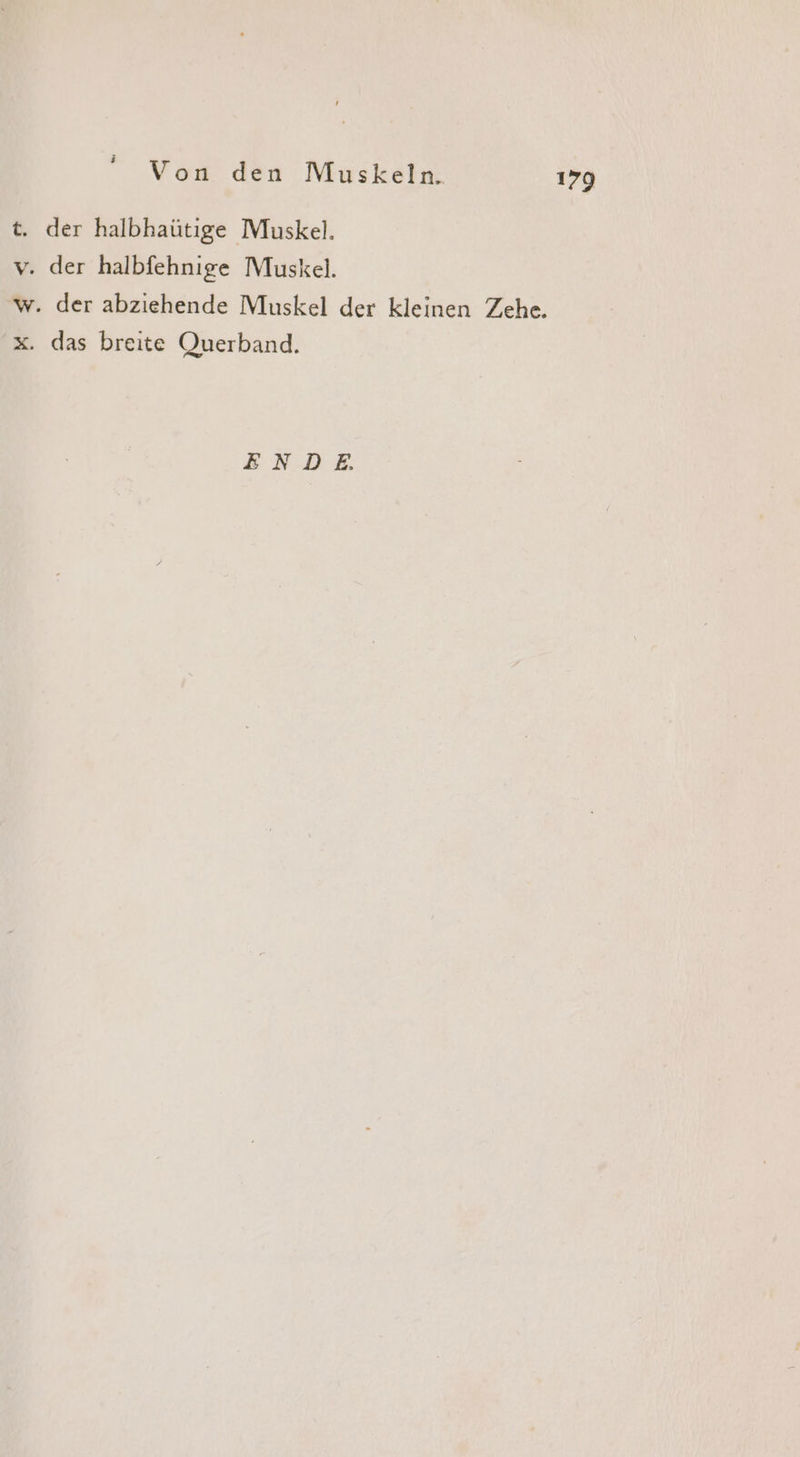 ä Von den Muskeln. 179 t. der halbhaütige Muskel. v. der halbfehnige Muskel. w. der abziehende Muskel der kleinen Zehe. x. das breite Querband. ENDE