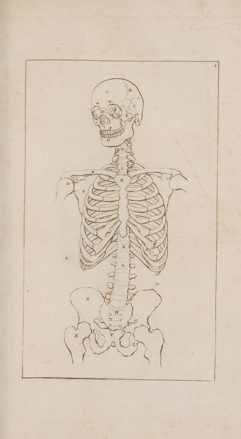 07 488 3 ‘ii a R \T8 FR —_ u UNIS ax IN m nn