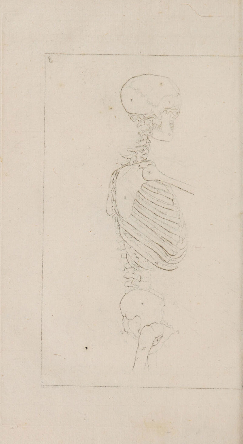 € \ ’ vn . £ nein a mm ar nein u tn) Vene nn nn nn en nern nnäee ananine en “