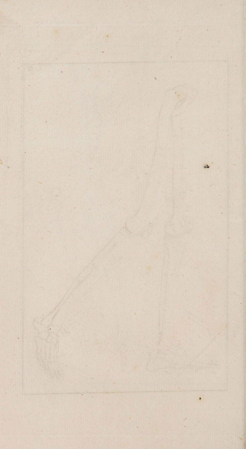 et er an Pie 2 PS N fiel