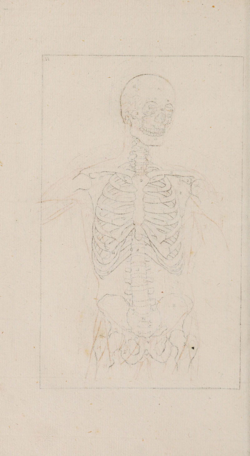 % a a ee ei ER EZ menge BEN bee ea er ae a eimhiennen wonian kgaerigaehan aan n } ra nie a u Per rn hin Birnen pero A neenfen eeeree
