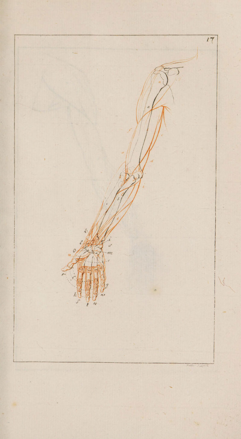 SS = N. VUN nn ne me ante nn in nern is | van namen ans er