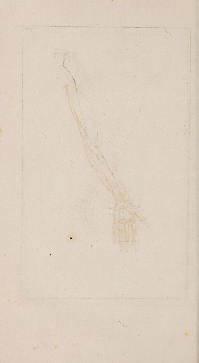 Y } a jr er : Fe: Eher 8