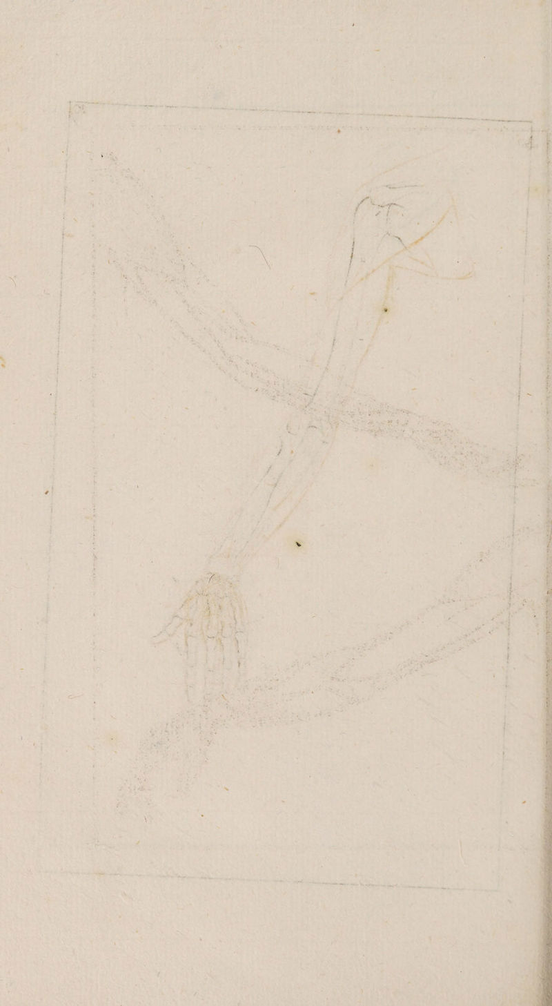 m mh EEE * En 1 Ereh es Du 4 \a A a ira are “u as rn hie ia in >. rer INA nr 7 5 Ey Er n Er unpremi Bin ESTER “ vn. L f h N Kon RI N D rs 3 y 2 N i 1 Y ER