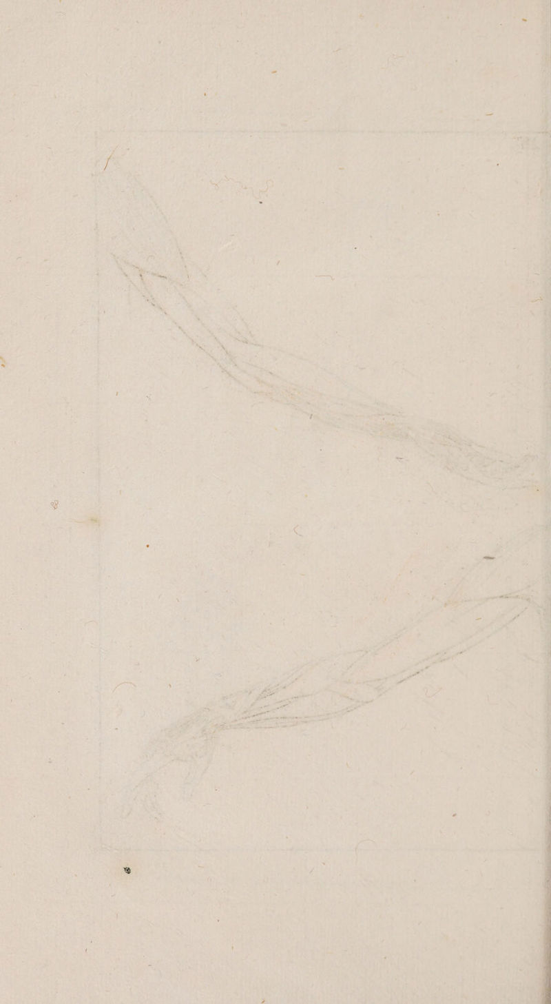 ET ah yalrabs Aare hir EEE Y * rf Sl { N Mean eflden 2 \ ar NE BT 5 ur ASt 5 Na, % ER x Pi Ir ri rn ae ee er i r \ e Sa Ve et