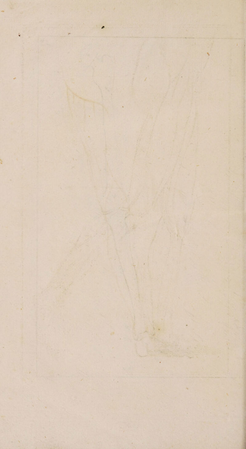 Eu U 205 Bier) BEST RR k 4. « En u r L I \ 5 ML Ta a A en re a 5 Ben Br 4