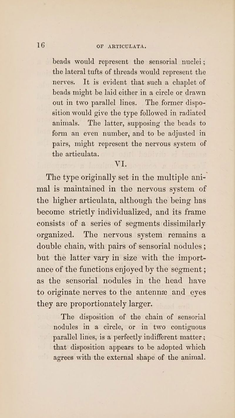 beads would represent the sensorial nuclei; the lateral tufts of threads would represent the nerves. It is evident that such a chaplet of beads might be laid either in a circle or drawn out in two parallel lines. The former dispo- sition would give the type followed in radiated animals. The latter, supposing the beads to form an even number, and to be adjusted in pairs, might represent the nervous system of the articulata. VI. The type originally set in the multiple ani- mal is maintained in the nervous system of the higher articulata, although the being has become strictly individualized, and its frame consists of a series of segments dissimilarly organized. The nervous system remains a double chain, with pairs of sensorial nodules ; but the latter vary in size with the import- ance of the functions enjoyed by the segment ; as the sensorial nodules in the head have to originate nerves to the antennz and eyes they are proportionately larger. The disposition of the chain of sensorial nodules in a circle, or in two contiguous parallel lines, is a perfectly indifferent matter ; that disposition appears to be adopted which agrees with the external shape of the animal.
