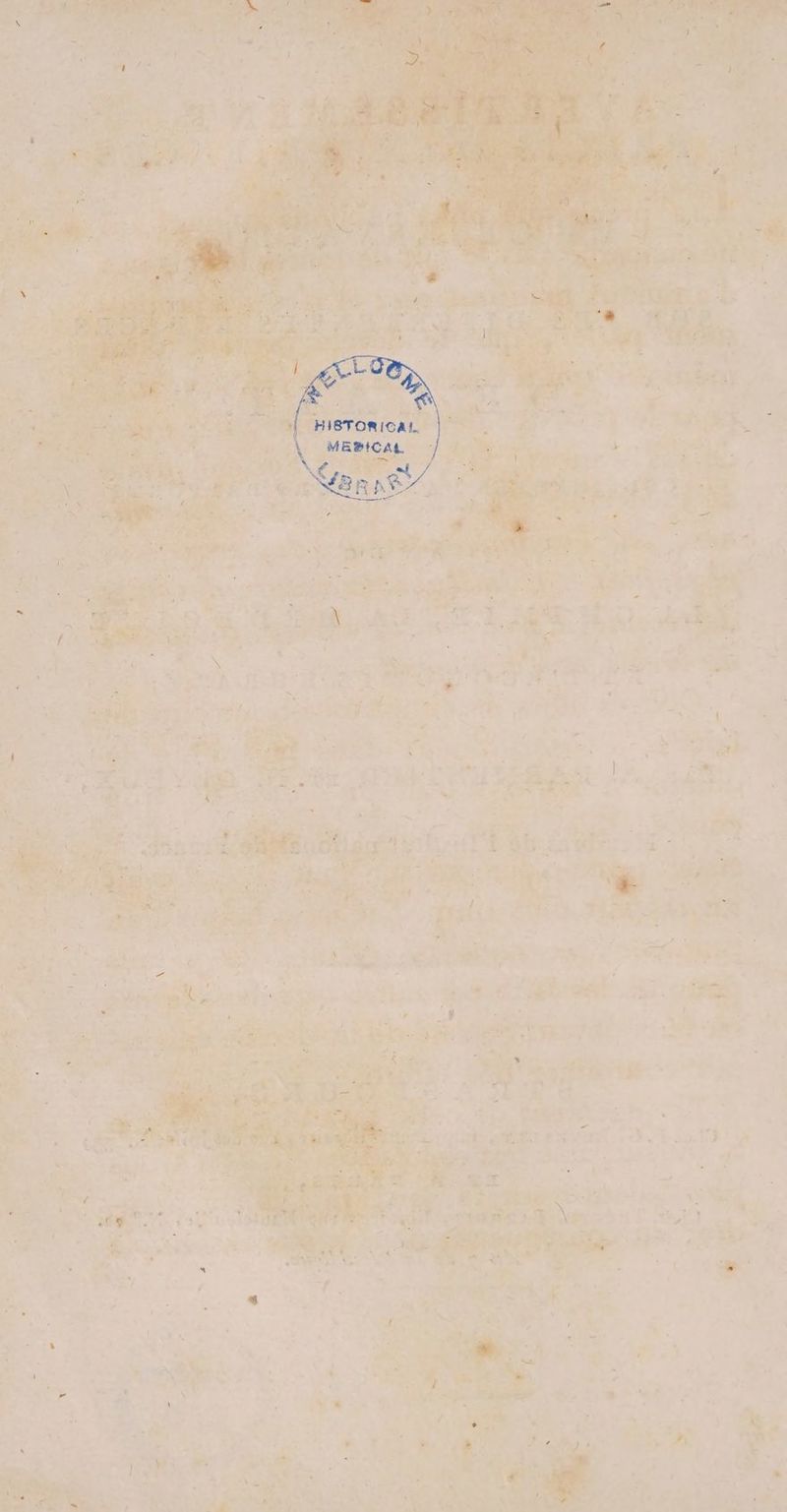 HIBTORICAL À Mense SET SALSA