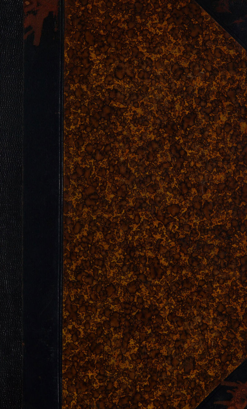 * Lee *% SN pA AR ANE RAO ORT NE Sa