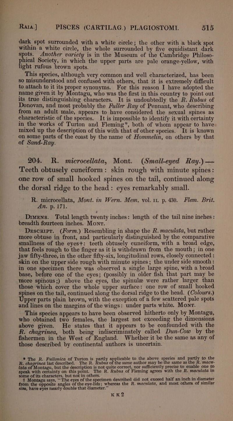 dark spot surrounded with a white circle; the other with a black spot within a white circle, the whole surrounded by five equidistant dark spots. Another variety is in the Museum of the Cambridge Philoso- phical Society, in which the upper parts are pale orange-yellow, with light rufous brown spots. 7 This species, although very common and well characterized, has been so misunderstood and confused with others, that it is extremely difficult to attach to it its proper synonyms. For this reason I have adopted the name given it by Montagu, who was the first in this country to point out its true distinguishing characters. It is undoubtedly the R. Rubus of Donovan, and most probably the Fuller Ray of Pennant, who describing from an adult male, appears to have considered the sexual spines as characteristic of the species. It is impossible to identify it with certainty in the works of Turton and Fleming*, both of whom appear to have mixed up the description of this with that of other species. It is known on some parts of the coast by the name of Hommelin, on others by that of Sand-Ray. 204. R. microcellata, Mont. (Smail-eyed Ray.) — Teeth obtusely cuneiform: skin rough with minute spines: one row of small hooked spines on the tail, continued along the dorsal ridge to the head: eyes remarkably small. R. microcellata, Mont. in Wern. Mem, vol. 11. p. 430. Flem. Brit. An. p. 171. Dimens. Total length twenty inches: length of the tail nine inches: breadth fourteen inches. Monr. Descripr. (Form.) Resembling in shape the R. maculata, but rather more obtuse in front, and particularly distinguished by the comparative smallness of the eyes+: teeth obtusely cuneiform, with a broad edge, that feels rough to the finger as it is withdrawn from the mouth; in one jaw fifty-three, in the other fifty-six, longitudinal rows, closely connected : skin on the upper side rough with minute spines; the under side smooth : in one specimen there was observed a single large spine, with a broad base, before one of the eyes; (possibly in older fish that part may be more spinous;) above the eyes, the spinule were rather larger than those which cover the whole upper surface: one row of small hooked spines on the tail, continued along the dorsal ridge to the head. (Colours.) Upper parts plain brown, with the exception of a few scattered pale spots and lines on the margins of the wings: under parts white. Monr. This species appears to have been observed hitherto only by Montagu, who obtained two females, the largest not exceeding the dimensions above given. He states that it appears to be confounded with the R. chagrinea, both being indiscriminately called Dun-Cow by the fishermen in the West of England. Whether it be the same as any of those described by continental authors is uncertain. * The R. Fullonica of Turton is partly applicable to the above species and partly to the R. chagrinea last described. The R. Rubus of the same author may be the same as the R. mact- lata of Montagu, but the description is not quite correct, nor sufficiently precise to enable one to speak with certainty on this point. The R. Rubus of Fleming agrees with the R. maculata in some of its characters, but not in others. ; ard + Montagu says, “‘ The eyes of the specimen described did not exceed half an inch in diameter from the opposite angles of the eye-lids; whereas the R. maculata, and most others. of similar size, have eyes nearly double that diameter.” ; KK2