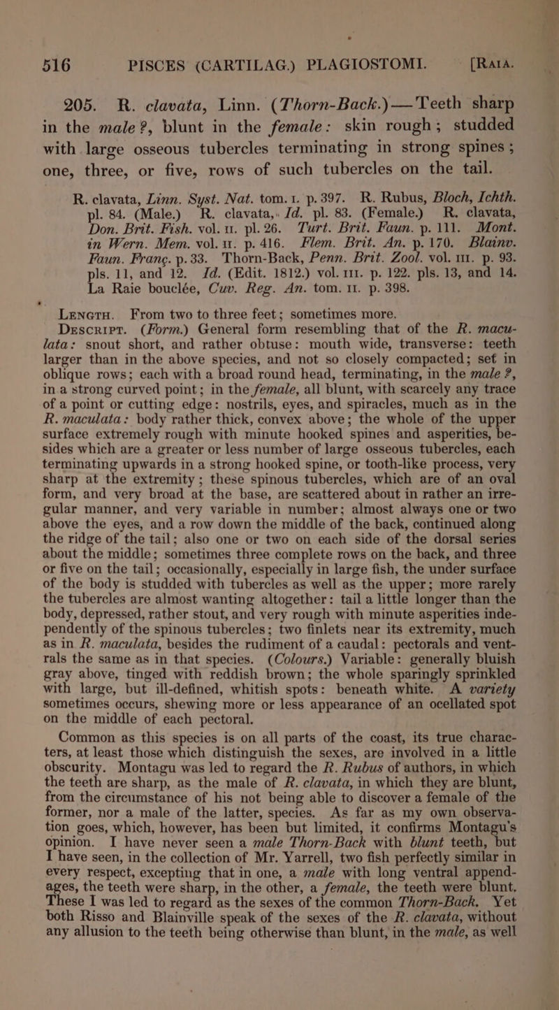 pl. 84. (Male.) R. clavata,. /d. pl. 83. (Female.) R. clavata, Don. Brit. Fish. vol. u. pl. 26. Turt. Brit. Faun. p. 111. Mont. in Wern. Mem. vol. u. p. 416. Flem. Brit. An. p.170. Blainv. Faun. Frane. p.33. Thorn-Back, Penn. Brit. Zool. vol. 11. p. 93. pls. 11, and 12. Jd. (Edit. 1812.) vol. 111. p. 122. pls. 13, and 14. La Raie bouclée, Cuv. Reg. An. tom. 11. p. 398.