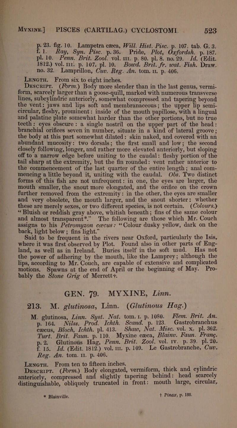 p. 23. fig. 10. Lampetra ceca, Will. Hist. Pisc. p. 107. tab. G. 3. f.1. Ray, Syn. Pisc. p.36. Pride, Plot, Oxfordsh. p. 187. pl. 10. Penn. Brit. Zool. vol. 111. p. 80. pl. 8. no. 29. Jd. (Edit. 1812.) vol. 111, p. 107. pl. 10. Bowd. Brit. fr. wat. Fish. Draw. no. 32. Lampmillon, Cuv. Reg. An. tom. 1. p. 406. Lenetu. From six to eight inches. Descripr. (Form.) Body more slender than in the last genus, vermi- form, scarcely larger than a goose-quill, marked with numerous transverse lines, subcylindric anteriorly, somewhat compressed and tapering beyond the vent: jaws and lips soft and membranaceous; the upper lip semi- circular, fleshy, prominent: inside of the mouth papillose, with a lingual and palatine plate somewhat harder than the other portions, but no true teeth: eyes obscure: a single nostril on the upper part of the head: branchial orifices seven in number, situate in a kind of lateral groove ; the body at this part somewhat dilated: skin naked, and covered with an abundant mucosity: two dorsals; the first small and low; the second closely following, longer, and rather more elevated anteriorly, but sloping off to a narrow edge before uniting to the caudal: fleshy portion of the tail sharp at the extremity, but the fin rounded: vent rather anterior to the commencement of the last quarter of the entire length; anal com- mencing a little beyond it, uniting with the caudal. Obs. Two distinct forms of this fish are not unfrequent: in one, the eyes are larger, the mouth smaller, the snout more elongated, and the orifice on the crown further removed from the extremity: in the other, the eyes are smaller and very obsolete, the mouth larger, and the snout shorter: whether these are merely sexes, or two different species, is not certain. (Colours.) “ Bluish or reddish gray above, whitish beneath; fins of the same colour and almost transparent*.” The following are those which Mr. Couch assigns to his Petromyzon cecus: ‘Colour dusky yellow, dark on the back, light below ; fins light.” Said to be frequent in the rivers near Oxford, particularly the Isis, where it was first observed by Plot. Found also in other parts of Eng- land, as well as in Ireland. Buries itself in the soft mud. Has not the power of adhering by the mouth, like the Lamprey; although the lips, according to Mr. Couch, are capable of extensive and complicated motions. Spawns at the end of April or the beginning of May. Pro- bably the Stone Grig of Merrett+. GEN. 79. MYXINE, Linn. 213. M. glutinosa, Linn. (Glutinous Hag.) M. glutinosa, Linn. Syst. Nat. tom.1. p. 1080. Flem. Brit. An. p. 164. Milss. Prod. Ichth. Scand. p. 123. Gastrobranchus excus, Bloch, Ichth. pl. 413. Shaw, Nat. Misc. vol. x. pl. 362. - Turt. Brit. Faun. p. 110. Myxine ceca, Blainv. Faun. Frang. p-2 Glutinous Hag, Penn. Brit. Zool. vol. tv. p. 39. pl. 20. f. 15. Id. (Edit. 1812.) vol. m1. p. 109. Le Gastrobranche, Cuv. Reg. An. tom. 11. p. 406. Lenets. From ten to fifteen inches. ; a Descript. (Form.) Body elongated, vermiform, thick and cylindric anteriorly, compressed and slightly tapering behind: head scarcely distinguishable, obliquely truncated in front: mouth large, circular, * Blainville. . + Pinax, p. 188.