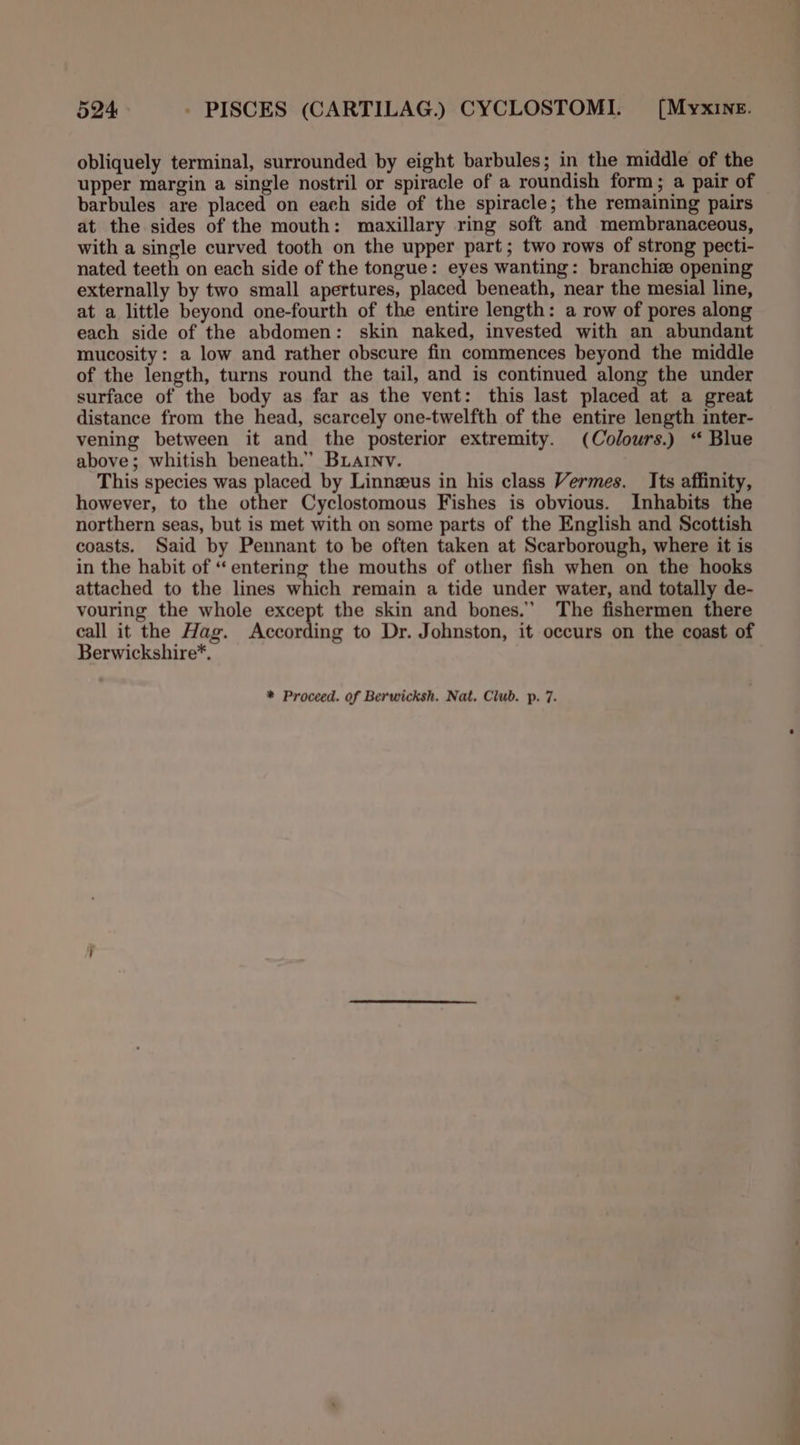 obliquely terminal, surrounded by eight barbules; in the middle of the upper margin a single nostril or spiracle of a roundish form; a pair of barbules are placed on each side of the spiracle; the remaining pairs at the sides of the mouth: maxillary ring soft and membranaceous, with a single curved tooth on the upper part; two rows of strong pecti- nated teeth on each side of the tongue: eyes wanting: branchiz opening externally by two small apertures, placed beneath, near the mesial line, at a little beyond one-fourth of the entire length: a row of pores along each side of the abdomen: skin naked, invested with an abundant mucosity: a low and rather obscure fin commences beyond the middle of the length, turns round the tail, and is continued along the under surface of the body as far as the vent: this last placed at a great distance from the head, scarcely one-twelfth of the entire length inter- vening between it and the posterior extremity. (Colours.) “ Blue above; whitish beneath.” Buarnv. This species was placed by Linneus in his class Vermes. Its affinity, however, to the other Cyclostomous Fishes is obvious. Inhabits the northern seas, but is met with on some parts of the English and Scottish coasts. Said by Pennant to be often taken at Scarborough, where it is in the habit of “entering the mouths of other fish when on the hooks attached to the lines which remain a tide under water, and totally de- vouring the whole except the skin and bones.’ The fishermen there call it the Hag. According to Dr. Johnston, it occurs on the coast of Berwickshire*. * Proceed. of Berwicksh. Nat. Club. p. 7.