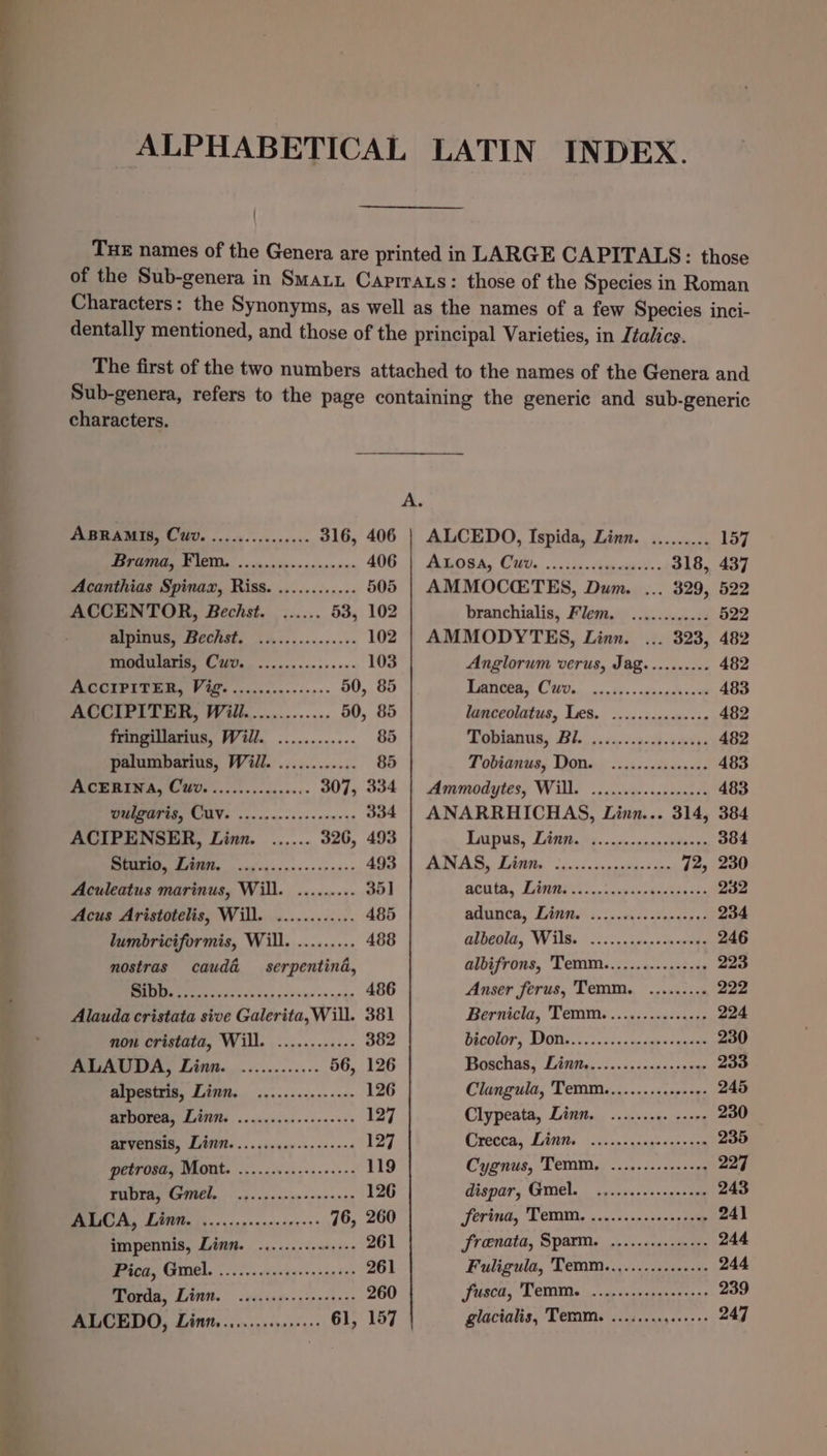 characters. WSs i 316, 406 Bramad, Flem. .......5...0+.+0+ 406 Acanthias Spinax, Riss. ............ 505 ACCENTOR, Bechst. ...... 53, 102 So Ci Sa 102 modularis, Cwv. ............+-. 103 (Wein a yg a 50, 85 ACCIPITER, Will............. 50, 85 fringillarius, Will. ............ 85 palumbarius, Will. ............ 85 ie 307, 334 ulgares, CUY. .............00+2+ 334 ACIPENSER, Linn. ...... 326, 493 EE ee 493 Aculeatus marinus, Will. ......... 35] Acus Aristotelis, Will. ............ 485 lumbriciformis, Will. ......... 488 nostras cauda&amp; serpentind, ln 486 Alauda cristata sive Galerita,Will. 381 non cristata, Will. ............ 382 ALAUDA, Linn. ............ 56, 126 Bipentis, Linn... ........0..-&lt;0» 126 arborea, Linn. .....2....0.0see0s 127 arvensis, Linn. ........+...-+0++ 127 petrosa, Mont. .............+.+- 119 PUTER GG IMEDy, «spp ennenscrnnces 126 ALICA, Lint, ....s:.cerceeereess 76, 260 impennis, Linn. .,........ ty bi 261 Pica, Gel. ...... icscessssaeees 261 Torda, Linn. .....c0--.-eeee0e 260 ALCEDO, Linn,...........+.- 61, 157 ALCEDO, Ispida, Linn. ......... 157 BROGA, CO. ... 10. Aanewhi- 318, 437 AMMOCETES, Dum. ... 329, 522 branchialis, Flem. ...........- 522 AMMODYTES, Linn. ... 323, 482 Anglorum verus, Jag.......... 482 RM CU. cia co 483 lancteolatus, Lies. &lt;2... snensnees 482 enlanus,: Ble... &lt;a. &lt;&lt;9-cbsdeees 482 Tobianus, Dons. .......05.0000. 483 Ammodytes, Will. .....00-+.02s00008 483 ANARRHICHAS, Linn... 314, 384 aDRR, LAG i. cteonenactton ne 384 Pell Aa, SRM isc ciccugaupens on 72, 230 mente, Laney... opmcsestiasss 232 wrbaca,” Eifrtetel i: cass atencns od 234 abbas, Wilke (.. ic. sancnants 246 albifrons, Temm..............+ 223 Anser ferus, Temm. ......... 222 Bernicla, Temm................ 224 DEMOTION, TIO 2 oc &lt;&lt; cc omen cqgeel 230 Boschas, Liritts,.......&lt;.2+.-05¢ 233 Clangula, Temm...........0++9- 245 Clypeata, Linn. .......0. s+ 230 Crecca, LAttis, ..ca0s¢cayecens ian 235 Cygnus, Temm, ..........---02 227 dispar, Grniel. .o..re.---.0-0me 243 Serina, Temm, ........-.4-++ 009 241 frenata, Sparm. .............-. 244 Fuligula, Temm..,......-s0.-+s 244 fusca, Temm. ............+2+++ 239 glacialis, Teram. ...........+.+- 247