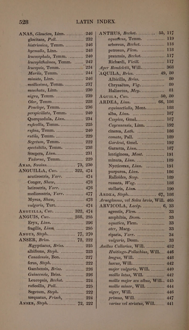 ANAS, Glaucion, Linn............. 246 glocitatia, Pall... delsunaeaee- 232 histrionica, Temm. ..........-. 246 hyemalis, Lint. — .:.1.22.s.80.0 248 leucocephala, Temm. .......... 240 leucophthalmos, Temm. ...... 242 peucopses, Temims . is ss... +.0iate 924 WPGT AG, TON. Dos. 0ss&gt;-50aser 244 minita, Linn. .........00-0200 246 mollissima, 'Temm. ..........+- 237 moschata, Linn. .............+. 230 eg Aid Raich: aeons Sey AN 239 hee, “DOM Ui cnsasbiesptp acaeeh 228 Penelope, Temm............0. 236 perspicillata, Temm. ......... 240 Querquedula, Linn............. 234 ruficollis, Temm. ........00.s00 225 pct el hn os eR le te 240 yariila,’ Testes oies din snsnkceow 229 Segetum, Temm. ............... 222 spectabilis, Temm. ............ 238 Strepera, Dinn...............000- 231 Tadorna, Temm................ 229 sy a | eee 73, 230 ANGUILLA, Cuv. ......... 322, 474 acutirostris, Yarr. ..........»3 474 COnpets BAA, o dans. s-binaciaee 478 TntirOae, FOP: .ccss.s exe sees 476 mediorostris, Yarr. ............ 477 Myrihy Shaw oii... lS 478 DULFAIS, Tarte ca veteve snare 474 ANGUILLA, Cuv. ............ 322, 474 AU ey CGD, s-rcanmuae 288, 295 Bty Sy TAM Me cence senknas vis tenis 296 fragilia, Lina 2a cc, asicwwasas 295 ANOUS, Steple.......2..codse00e 77, 270 ANSERS Briss. oo. ccisasconts. 72, 222 fEgyptiacus, Briss. ............ 225 albifrons, Steph. ............4:. 223 Canadensis, Bon................ 227 Taig A 77, ven ieatah Aghia. ahah 222 Gambensis, Briss... 0.00.02 005 226 Guineensis, Briss. ............ 226 Leucopsis, Bechst. ............ 224 Pi CONIS, Pai ehcp coscecsuencens 225 Segetum, Steph. ..........2000- 222 torquatus, Frisch, ............ 224 PAM Ay 1S POD acsnccxhe castrate 42, 222 ANTHUS, Bechst........3..4. 55, 117 aquattcus, Temm...........+- 119 arboreus, Bethét.:....i/c00cmee 118 petrosus, Flem. .......es0.000- 118 pratensis, Bechst..........+-+++- 117 Richardi,. Victli.: ;..-.aseaueeae 117 Aper Rondeletit, Will............-+++ 368 AQUIDA, Brits.:,../1...cnee 49, 80 Albicilla, (Brits... ccccsacsvuear 80 Chrysaétos, Vige.....0.csererese 80 Haliwetus,: Mey........ss&lt;as=s2s 8] AQUILA, Cu, —....c.gaeee .... 50, 80 ARDEA, Linn. «...4n0008 66, 186 cequinoctialis, Mont...........-- 188 alba, Linn. as onsechsneseeeee 187 Caspica, Gels...) .tpeeeeeee 187 Cayennensis, Linn. ............ 192 cinerea, ‘Lath.’ .,.t.1ssuenene 186 comata; Pall. tase 189 Gardeni, Guiel, ~.. conte eae 192 Garzetta, ‘Lint... .&lt;:.sseensure 187 lentiginosa, Mont. ............ 191 minuta, Litii,,...culaesienee 189 Nycticorax, Linn. .5..,.c00-,- 191 purpurea, Linn, 2. .&lt;vss sent 186 Ralloidés, Scop. “.:ccasteeeman 189 rudaata, Gg; . .cdenvenaeie 188 stellaris, Linn. ..csssghyusieeceh 190 ARDEA, Steph.......caePagoe 67, 186 Arnoglossus, vel Solea levis, Will. 465 ARVICOLA, Lacép. ............ 6, 33 agrestis, Flem. .......ssscesesees 33 amphibia, Dest. .....s.0ss..00 33 aquatica,’ Fem.” c&lt;assessegee 33 ater, Mineg. i venus ee 33 riparia, Y G9fo. cassyesseneesechen 34 vulgaris, Dean. ov; csunpmeee 33 Asellus Callarias, Will. ............ 452 Huitingo-Pollachius, Will.... 446 tongisd, “Will.” vivuncnucdegaaneae 448 fasted, “Will. ncaneeesne 442 major vulgaris, Will. ......... 440 mollis latus, Will. ...........- 442 mollis major seu albus, Will.. 445 mollis minor, Will. ............ 444 niger, Will...) :.. ce seen 446 primus, Willd, cpg ones: - 447 varius vel striatus, Will....... 441 ae Soe