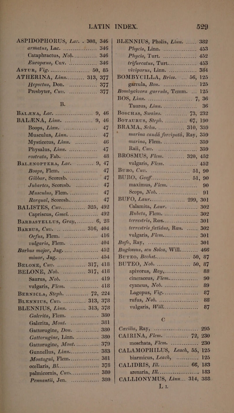 ASPIDOPHORUS, Lac. . 308, 346 ae OAT 0) a oe Pes 346 _ Cataphractus, Nob............. 346 Europeus, Cuv. ME 346 fo NT Se re 50, 85 ATHERINA, Linz.......... 313, 377 Pigopsctus, Don. -!.....40.0..00.. 397 Srrcanyier, Cites ...s0.....0.8. 377 B. PORE MOM EMIC. J SI0E os ede aes 9, 46 BALENA, Linn. ............... 9, 46 Boops, Linn. ..... TAS Ee 47 Musculus, Linn. .............%. 47 Mysticetus, Linn. ..........:. 46 Phyealas, Linn. 2.:............ 47 wosteaia, Fabie..:,......:..2,.-- 48 BALANOPTERA, Lac. ......... 9, 47 NTS hs ee 47 Gibbar, Scoresb. ............... 47 Jubartes, Scoresb. ........-..- 47 Musculus, Flem. ?..:..........- 47 Rorqual, Scoresb.............--- 47 BALISTIN,, Cavics.:..... 325, 492 Capriscus, Gmel...........2....- 492 BaRBASTELLUS, Gray,........- 6, 28 Benes, Caved io %.2.2........ 316, 404 a Ee 416 vulgaris, Flem.: ..............- 404 Barbus major, Jag. .... ..-.....-+.++ 452 MOSM cr220. 3654.2. 00... 454 Henomem, Cuv. ....62..:...... 317, 418 BELONE, Nob. ............ 317, 418 AUTUS, WV006 oo .5.. acdsee wee 419 Weemariss Fle | 6c. ss enses se 418 BERNICLA, Steph. ..........-. 72, 224 Bisewwius, Cuv. ...0-......- 313, 378 BLENNIUS, Linn. ......... 313, 378 Galevita, Flem. .....5....00... 380 Galerita, Mont. ............... 381 Gattorugine, Don. ............ 380 Gattorugine, Linn. ............ 380 Gattorugine, Mont. ............ 379 Gunnellus, Linn............+..- 383 Montagui, Flem............-..- 381 Goallariag Jl. v9: ilid sz. gem el: 378 palmicornis, Cwv».........-.+++- 380 Pennantii, Jen. ......... ea 380 BLENNIUS, Pholis, Linn. ...... 382 Pryctis, Lingo 2 453 Phy cis, Dart. Wein. aie 452 brtfurcatuss Laren 453 vboiparus, Lint 2.82002). 384 BOMBYCILLA, Briss. ... 56, 125 Gmerula, Bone. .ccyiiaso ti. 125 Bombycivora garrula, Temm. ... 125 BOS, .Litiy .ohial ic RO 7, 36 Taurus; Lint &lt;i Pee # 36 Boscuas, Swains. ............ 73, 232 Botraurus, Steph. ............ 67, 190 BRAMA, Scha....3.0.000. 310, 359 marina cauda forciputa, Ray, 359 marina, Flem. ......0.... 4.4.04: 359 Rail, Cea: Wr aenweas 359 BROSMUS, Flem. ......... 320, 452 vulgaris, Flem. ..,...0...0060) 452 Bend, Cave... 5... 51, 90 EEE Oo eee re 51, 90 maximus, Flem. ............... 90 SOG, AVOB.. Sn Aae. mee 91 Bar (), Lauatesd FAs 299, 301 Calamita, Lawn: 25. 8 302 Hebets, Fleraa ct. 2 ieee 302 terrestris, ReeBs.0. 0. icc db s.ttt 301 terrestris foetidus, Ros. ...... 302 vulgaris, Flem.............. wie and Heh, Hag: Gl. RGA A 301 Buglossus, seu Solea, Will.......... 466 Boro, Bechstnn, cee ase 50, 87 BUTEG, Nabe k Ue 50, 87 apivorus, Hagges: .t. 72 88 cineraceus, Flem...........00..- 90 cyaneusy AV Ob. Ga... 22200 89 Lagopus)) Figs. awa 87 rota VOW | ois tty, eee 88 vulgaris, Hai ge... 87 C Cecile, Rayne Sasi sk 2 295 CAIRINA, Flem. ............ 72, 230 moschata, Flem. .........000085 230 CALAMOPHILUS, Leach, 55, 125 biarmicus, Leach, ............ 125 CALIDRIS, Il. 1.02.0. 0.c0c00e 66, 183 arenaria,. FM. .¥s25. 41 qhneeee . 183 CALLIONYMUS, Linn... 314, 388 Lo 57,