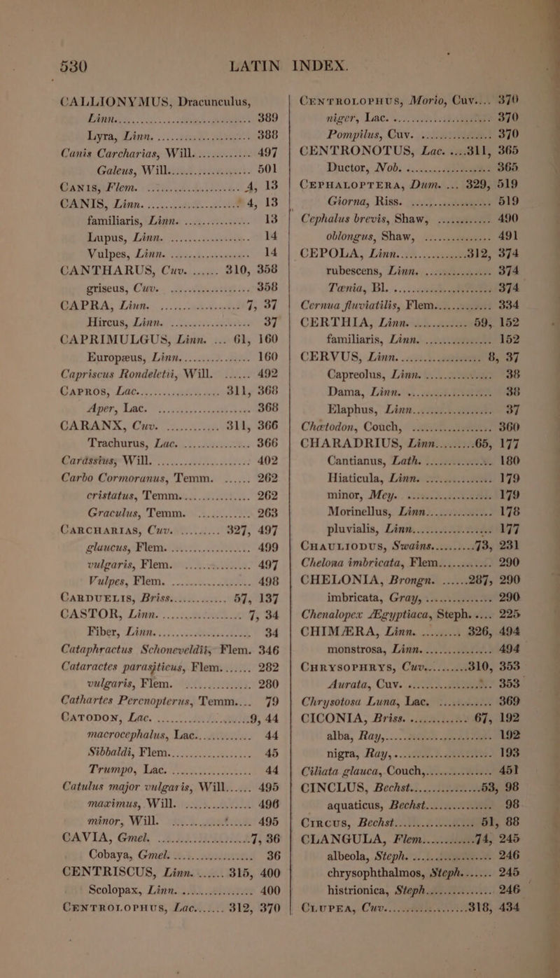 CALLIONYMUS, Dracunculus, PUES, 6 in os SR 389 ETA. te 5... kaon Re 388 Canis Carcharias, Will. ........-..- 497 Galens, Willicst, peeuvouper i 501 CaN iAP lon. Ae. abd ee A, 13 GANAS, Lint. «. 1.5 tv le. See , 4, 13 familiaris, | Line . 25. 20s..500- 13 Raps, Dds so... .dsbvterp - 14 Vulpes, Litt .6as.s-ernense 14 CANTHARUS, Cuv. ...... 310, 358 prigeus, Cem. . sles Viape thes ive 358 BAPRA, LAut.:....:-ceval y Pay) Fiwros, LARK: : covsies eis 37 CAPRIMULGUS, Linn. ... 61, 160 Europeus, Linn. ..........2.... 160 Capriscus Rondeletvi, Will. ...... 492 Carnie: [60.355 5.00 311, 368 BOOP, LR iss Adar ceng ome 368 GA RIANX, Coo. 5.00028 311, 366 Trachuras, Dimes). ih. 366 MAF OEOVTONY Lids. ovens stood hie: 402 Carbo Cormoranus, Temm. ...... 262 cristatue, Temmass.. 550009. .4. 262 Graculus, Temm. ............ 263 CARCHARIAS, Cwv. ......... 327, 497 gloucus, Flems 22.0 5..0.6665.0083 499 vulgaris, Flem.;..¢.c.003.04. 497 Vaiget, POG... tans ce 498 CARDUELIS, Briss............. 57, 137 CASTOR, Linn. ... ice. 7, 34 Piet, LAG 6 60) in vce A 34 Cataphractus Schoneveldit, Flem. 346 Cataractes parasjticus, Flem....... 282 vulgaris, Flem. .............. 280 Cathartes Percnopterus, Temm.... 79 Geronon, Lae... AN ae 9, 44 macrocephalus, Lac............. 44 Stbbaldi, Flem.........2.......4+ 45 VIR | BBO. 44 Catulus major vulgaris, Will...... 495 maximus, Will. .......2....... 496 minor, Wilk. 9.) 2002 arek A 495 CAVIA, Gmek 2 LOS 7, 36 Cobaya, Gmeli 0.3. ccceesctidee 36 CENTRISCUS, Linn. ...... 315, 400 Scolopax, Linn. ..0...0.0..000: 400 CENTROLOPHUS, Lace....... 312, 370 Cen TROLOPHUS, Morio, Cuv.... 370 niger, Late). 0 ie 370 Pompilus, Quy. oa 370 CENTRONOTUS, Lae. ....311, 365 Ductor, 1V 00, &lt;..cand.4ae 365 CEPHALOPTERA, Dum. ... 329, 519 Giorna, Riss... 519 | Cephalus brevis, Shaw, ............ 490 oblongus, Shaw, ...........2++- 491 CEPOLA, Linn. 92....90nme 312, 374 rubescens, Lian), ie 374 Tenia, BL....,..ce eee 374 Cernua fluviatilis, Flem............. 334 CERTHIA, Linnu.h..a.su 59, 152 familiaris, Linw...civaeeee 152 CERVUS, Linn. .403.4. nel 8, 37 Capreolus, Linn. ............04. 38 Dama, Linn. .:. att tae 38 Elaphus, Linn. .io). eae 37 Cheetodon, Couch,” .0nth..Jieiy 360 CHARADRIUS, Linz......... 65, 177 Cantianus, Lath. ............. .- 180 Hiaticula, Linns 2.8.1.0 179 minor, Meg... siaecdi,ietaenee 179 Morinellus, Linn.....i...2..0.. 178 pluvialis, Linn......../0.2.00 197 CHAULIODUS, Swains........-. 73, 231 Chelona imbricata, Flem............ 290 CHELONIA, Brongn. ...... 287, 290 imbricata, Gray, .............+- 290 Chenalopex Egyptiaca, Steph. .... 225 CHIMARA, Linn. ......... 326, 494 monstrosa, Linn. ............... 494 CHRYSOPHRYS, Cuv.......... 310, 353 Aurata, Cave «i. ae N. 353. Chrysotosa Luna, Lac. ............ 369 CICONIA, Briss. .g3. tae 67, 192 alba, Ray,......2e0yees aes eb aes 192 nigra, Ray, ...cieo.s.&lt;eees 193 Ciliata glauca, Couch,............... 451 CINCLUS, Bechet... ee 53, 98 aquaticus, Bechst............... 98 Cracus, Bechstinty.6 eee 51, 88 CLANGULA, Filem............ 74, 245 albeola, Stephs's..1. gene 246 chrysophthalmos, Steph....... 245 histrionica, Steph............... 246