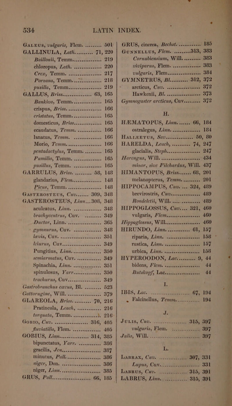 GALEUS, vulgaris, Flem. ......... 501 GALLINULA, Lath.......... 71, 220 Baillonii, Temm......0sss.es000 219 chioropits,s Lathe wisest. 220 Creamy: -Temm. iii ssedsskestnes 217 Foarsana,. Temi. Weccdh eddies 218 Ae pusitia, Temmminiien iste. 219 GALISIB, Brissigantt yi: 63, 165 Bankiva, 'Temm. ....scececcesss 165 CTISPUB, Briss.:. 015 ecivesdasses 166 Cristatus, Temm. ....sccoccveese 165 domesticus, Briss.....csseceeees 165 ecaudatus, Tem. ..cccccdscdes 166 Jatatns, “2 CIN, civawhe stow 166 Morin, Temi eidensnavievecsive 166 pentadactylus, Temm. ......... 165 Pumilio, Temm. ......cseresees 165 pusilius, Temm.. vesscccecnssaes 165 GARRULUS, Briss. ......... 58, 148 glandarius, F'lem.......se0seees 148 Patt lid bs Oy Pat oe 148 GASTEROSTEUS, Cuv....... 309, 348 GASTEROSTEUS, Linn...308, 348 aculeatus, Linn. .....ccccccceee 348 brachycentrus, CUv. ......00- 349 Puctor, Tange iy kites kee. 365 * SyMNurus, CUVe viccerdscvecess 348 BEDE OMY, -cscdvatwhaatyrdudeedt 351 letirus, Cuy..ibities eveetee ee 349 Pungitius, Linn. ......cc0sceeee 350 semiarmatus, CUV. .ccececeeeses 349 Spinachia, Linn. ........0000 351 spinulosus, Varr.........sceeee 350 trachurus, OUVsi.adetcessectetes 349 Gastrobranchus cacus, Bl. ......... 523 Gattoruging, Will. sss .ccccsiesseeds 379 GLAREOLA, Briss. ......... 70, 216 Pratincola, Leach, .......000s0. 216 torquata, Temm. ..........006 ». 216 CMPD Oy CM. ‘osidtyede katte 316, 405 fluviatilis, Flem. .........cc000. 405 GOBIUS, Linm....0....crvdees 314, 385 bipunctatus, Varr. ........060 386 Pratilis, Jeti cinvsvacerbosaeees 387 Ininutus, Pals ...4. cdewebaus ye 386 waigér, Doms i)sdscs..sideevase &gt; 386 ger, Linn. . ishvugciuas 385 TRIRUD PON, 1+. +dissen daca 66, 185 . GRUS, cinerea, Bechst. ....0.00+00 185 GuNNELLUS, Flem. .........313, 383 Cornubiensium, Will. ......... 383 viviparus, Flem. ....ssceceeeeee 383 vulgaris, Flem........ceseseeees 384 GYMNETRUS, Bi.......... 312, 372 arcticus, Cwv. .saisseedesesuwen 372 Hawkenii, Bl. ...sedveresseveves 373 Gymmnogaster arcticus, CUV.....066+ 372 H. HEMATOPUS, Linn....... 66, 184 ostralegus, Lint. ......scscseses 184 HALIZETUS, Sav.s.sictecsseees 50, 80 HARELDA, Leuch, .......... 74, 247 glacialis, Steph... s.tssisesstveas 247 Harengus, Will. .......00 sovbarbaede 434 minor, sive Pilchardus, Will. 437 HIMANTOPUS, Briss....... 68, 201 melanopterus, Tem. .....0+0- 201 HIPPOCAMPUS, Cuv. ... 324, 489 brevirostris, CUvi..cussascesusva 489 Rondeletii,” Will... uta 489 HIPPOGLOSSUS, Cuv.... 321, 460 vulgaris, Flew. tcsejsvesnesnount 460 Hippoglossus, Will.......+04+ ive. MOU HIRUNDO, Linn. vo..cveun G1, 157 Tiparia, Litt. ..isccensdecsesses 158 © rustica, Lisgte siaciissteapeeeaes 157 urbica, Linn. sdi-ticssesospenian 158 HYPEROODON, Lac.......... 9, 44 bidens, Flem. &lt;&lt;dasestlsessbatie 44 Butskopf, Lateicisseuctavetes 4 I. IBIS, Lac... ....0ypneee 67, 194 « Falcinellus, Temm............. 194 J. Juris, Cov...:igea ae 315, 397 vulgaris, Flem.. 4;.4,\.. «wsdl 397 Julis, Will...... stat ua 397 L. LaBRaX, Cuv.....:..008 ee 307, 331 Lupus, Cav... anaes 331 Laneus, Cv. +: eee, 315, 391 LABRUS, Lingle. 315, 391
