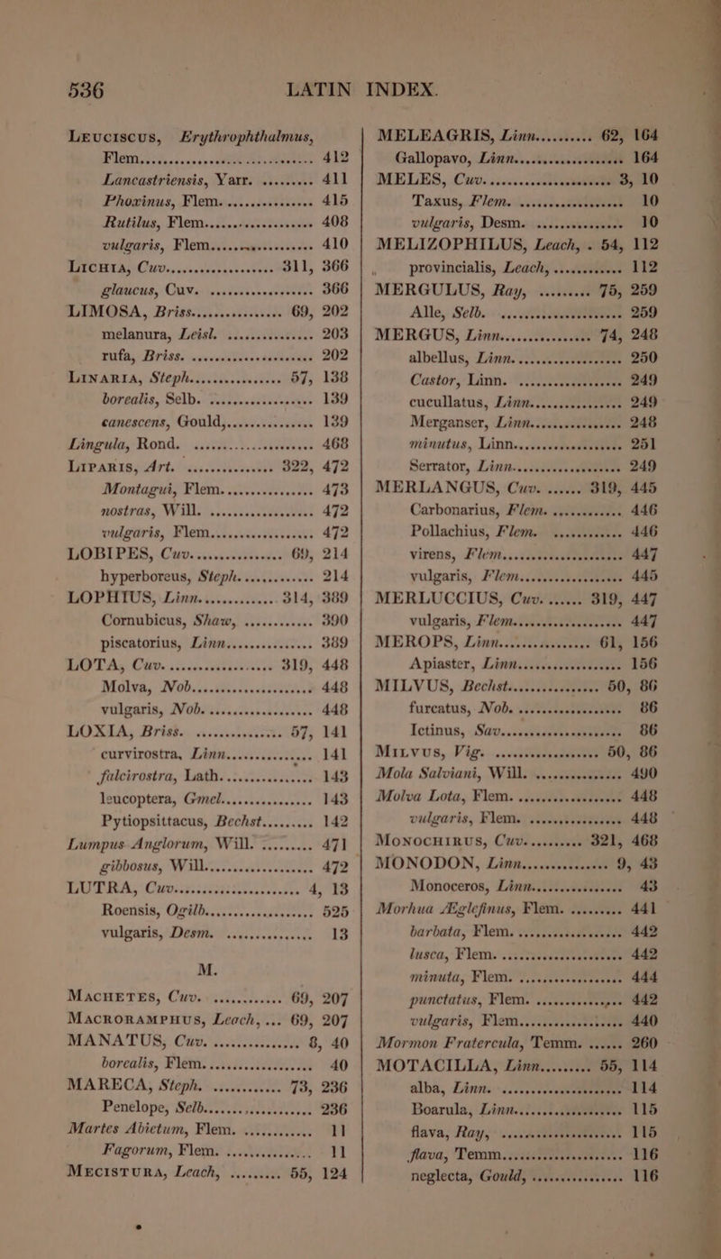 Levuciscus, Erythrophthalmus, Lancastriensis, Yarr. ......+0. 411 Phominss, Vlemais. testes e 415 Ritilus, Flemicssientecssvess ines 408 vulgaris, Flem.....cs+sseeesees 410 BIC TUR U0 a, cen ievenessetecs 311, 366 Natives, COV s: estvseenecepeades 366 IMOBA, Brisstecisc..stsssece 69, 202 melanura, Ldish\cdasssstinviie. 203 title; Briss. «svcediteicesivadsdhe 202 MAINARIA, Slephiecssiiscasectens 57, 138 borealis, Selb.) Hiscenisiives avs 139 canescens, Gould)..css.scccuwies 139 Pangea, RHond.. .ictis..). ies 468 LAIPARIS, Art. scsccossccoeses 322, 472 Montagui, Flem. oii. csiececdes 473 yoatrad, WU. vi cs.sdascedeevvess 472 welevrie, Flem.isWiiwiiteayi 472 LOBIPES, Cwv. .........ceeee- 69, 214 hyperboreus, Steph. ......20+06 214 LOPHIUS, Linn............. 314, 389 Cornubicus, Shaw, ............ 390 piscatorius, Linn.....ccocsecece 389 BHP TAs Cate icin cktaraie es 319, 448 DIOL Gy VOU scooter tansitieiala’ 448 Witleasisy VObI iiss cdccscscareter 448 WO RLA; Brigden we sciissnedisee 57, 141 curvirostra, Dimn.....sccccceeee 141 falcirostra, Lath. ............ wae 148 leucoptera, Gimel....cssccccceess 143 Pytiopsittacus, Bechst......... 142 Lumpus. Anglorum, Will. ......... 47] gibbosus, Wasi tes 472 : RU TA, Copmctes tiene ies iveden 4, 13 Roenis; Ogilbicciic., cidiestees 525 vulgaris, Desm. « .cscccseseasses 13 M. MAacHETES, Cuve visits cevctis 69, 207 Macrorampuus, Leach, ... 69, 207 DLA NAT Ry. Cat austaneon 8, 40 borealis, Flém. i.i.i...is0e le 40 MARECA, Steph. ............ 73, 236 Penelope, Selb....... st eatulvaves 236 Martes Abietum, Flem. ............ 1] Fagorum, Flem. ...e..esecuse.. 1] MeEcistTuRA, Leach, ......... 55, 124 MELEAGRIS, Linn.......... 62, 164 Gallopavo, Littn....isssccosseds . 164 MELES, :Citisacice oasie ds 3, 10 Taxus, Flemsicisistesteneeees 10 vulgaris, Desm. ......csessee0 10 MELIZOPHILUS, Leach, . 54, 112 provincialis, Leach, ......+.s00 112 MERGULUS, Ray, .......4- 75, 259 Alle,. Selb.: «ii ve 259 MERGUS, Linn....... Sone iat 74, 248 albellus, Linn. Ji. veceeseonveaee 250 Castor, Linn, “ieee 249 cucullatus, Lit... .scsuscseeess 249 Merganser, Litr......scscsosees 248 minutus, Linns.sissssiedtetives 251 Serrator, Linn..dissseeen 249 MERLANGUS, Cuv. ...... 319, 445 Carbonarius, Flem. ......00000+ 446 Pollachius, Flem. ..ccscccenes 446 virens, F' lem. .cictcmetrieeeuane 447 yulgaris,: Flems..ccccsestheneane 445 MERLUCCIUS, Cuv. ...... 319, 447 vulgaris, Flent.iwestctsccseesest 447 MEROPS, Limn....csdesecvsss 61, 156 Apiaster, Lint. jinn 156 MILVUS, Bechéti.citunens 50, 86 furcatus, - Nod. sis Tisiecsteaetes 86 Ictinus, Sav...wtiaesasie 86 Mirvus, Vig... 50, 86 Mola Salviani, Will. .......00s0000- 490 Molva Lota, Flem. ........scccccsees 448 vulgaris, Flee: siverytestepoes 448 MONOCHIRUS, CUuv. ...s0000s 321, 468 MONODON, Limn......ccceeeees 9, 43 Monoceros, Linit....cscccsesees 43. Morhua Aiglefinus, Flem. ......... 441 — barbata, Flems sicss.eatsdeueeere 442 lusea,: Flems' .ititesesedavan eee 442 minuta, Flem. 7, cdeesosestenter 444 punctatus, Flem. .....cssee0 pee 442 vulgaris, Flem...iiissdeasbeene eee Mormon Fratercula, 'Temm. ...... 260 MOTACILLA, Linn......... 55, 114 alba, Diss -.ss:cccussavetteapere 114 Boarula, Linmne.i..scccudscsectes 115 flava, Ray, -\&lt;cc'utueesenserereys 115 flava; Term. 72detiataatey eres 116 neglecta, ‘Gould, Vivedguestaadeas 116