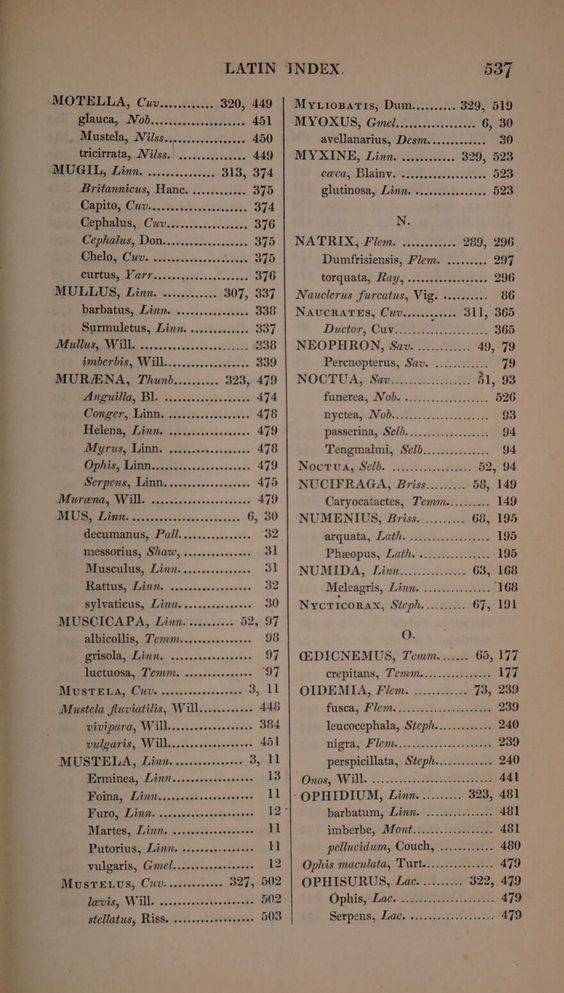 MOTELLA, Cuv............ 320, 449 waver,..Nod..isviescadieilevieds 451 Mustela, Nils... ish ust ans 450 tricirrata, Nilss.) .....cccssceces 449 MUGIL, Linn, .0.06.5..000... 313, 374 Britannicus, Hance. ............ 3795 OT 6 a re 374 UE ee 376 Cephatus, Don......cccccccscvere 375 Oe i A Seine divs ve venncaCevics 375 LT Cre cnasdieit caste ctee’ 376 MULLUS, Linn. ............ 307, 337 PAOtS, LA nites. sicccessctens 338 Surmuletus, Linn. ..........00- 337 UCIT Alle nes enspssvessedeseccecct 238 EECIIE,, WV ill.) vacesevessvees de 339 MUR/ENA, Thunb.......... 323, 479 mnguilla, Bl. 2.2.5.0 eres 474 oe ES 478 RI Eis ote caacvss ane vaeses 479 PPPOE LIT, © hivicsnd cress ces 478 Re LAD wih deh ts. xks osceesess 479 ls a 0) 475 REPU NY Alla ave wvice dp encoassescn’s 479 REO vac bebe vscdinavoevsaes 6, 30 Gecumanus, Pall... ....cvesveee 32. messorius, ShAW, .......0eeeees 31 MITES LA iiicescensenes sess Jl EE ATs Sn ondinvccuyseseons 32 Byivanicis, Digits ,...s.ccerevees 30 MUSCICAPA, Linn. .......... 52, 97 BUURGONIS, cl CUB veavesctscceses 98 PRIGOLA, Lint., ..cccciscrerereses 97 re ‘97 ETA, C0 wwesescacncepernce 3, 11 Mustela fluviatilis, Will..........+- 448 vivipard, Will......eccseseeeees 384 vulgaris, Will.......scseseeerees 451 MUSTELA, Linn. ......ccseeeeee 3, Il Erminea, Linr.....ecscccssoeee 13 Foina, Lint...cccccccesescseeees 11 Furo, Linn. ..cccccscsccoeseseees 12° Martes, Linn. ......cecceseeeves al Putorius, Linn. ...... Biacpe pes tl vulgaris, Giel..s.s.esereeeneees 12 MUuSTELUS, CUv. .crccccecese 327, 502 Larvis, Will. ...csececseeseseneeee 502 stellatus, Riss. .....++6. eres 503 Myuropatis, Dum.......... 329, 519 MY ORUS, Geli Lee 6, 30 avellanarius, Desm..........+: 30 MY XINE,. Lda. see. 329, 523 ceca, Blainve ti ccies 523 glutinosa, Dini. ....cssccscecees 523 N. NA TRIX, Plems ...%026i 289, 296 Dumfrisiensis, Flem. ......... 297 torquathy: Rayo. \issccstsscess 296 Nauclerus furcatus, Vig. ....2..+.- 86 NAUCRATES, CUuv.....ce0s00 311, 365 Duet, Gavan ace 365 NEOPHRON, Sav. ............ 49, 79 Percnopterus, Sav. ............ 79 NOCTUA; Same. 2a 51, 93 Pineres. MOGs ds. aa 526 Byte NOK Kis. G00. Ges 93 paaserinay Selb. . 0.0. sis5s0cecres 94 Tengmalmi, S¢lb:...025.0.s08e 94 MeocPUay Selb. wid .nwnvrdss 52, 94 NUCIFRAGA, Briss......... 58, 149 Caryocatactes, Temm.......... 149 NUMENIVUS, Briss........... 68, 195 arquata, Lath. wi diseticodin 195 Phmopus, Lath... ici...4.878 195 NUMIDA, Liwn..3.2.00004 63, 168 Meleagris, Linn. ..120.2.. 200. 168 Nycricorax, Steph. Aan: 67, 191 O. CEDICNEMUS, Temm....... 65, 177 crepitans, Temut..:...cseosteses 177 OIDEMIA, Flem. ............ 73, 239 fusca, Flom, ...id isda 239 leucocephala, Steph...........+. 240 nigra, Flemt.. ..Ji 11, an e4 aeay 239 perspicillata, Steph............. 240 Onos; Will. ..c.02s.22088e. TSI 441 ‘OPHIDIUM, Linn.......... 323, 481 barbatum, Linas 2.20 2 481 imberbe, Monti tio). ..sewd. 481 pellucidum, Couch, ............ 480 Ophis maculata, 'Turt..........-.4-+. 479 OPHISURUS, Lae. ......... $22, 479 Ophis;eE acer. Het. 479 Serpens,, Lae, sscsecs ede svecesdes 479