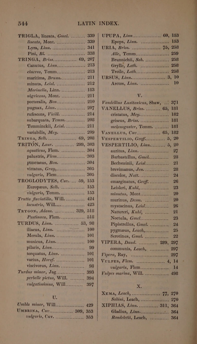 ineala, Montes. Aer. 339 Lyre, Zina. 1h. nari eee: 341 PROBS. eck TR aes 338 TRINGA, Briss. cw clei 69, 207 Ganutus, . Lint) wencstons 213 creres, ‘Temm. itv. 213 maritima, Brunn.........0s00s- 211 writs, Lewy t ss ott 212 Morinella, Linn. ............... 183 nigricans, Mont. ............... 211 poctoralia,: Bown) cei 210 PUugnAr, Lite cid casivgesst 207 rufescens, Victil,......5...,002 214 subarquata, T'emm............. 208 Temminckii, Leisi. ............ 211 yarigbilis, Daye ecil. Adcock) 209 Paine A, Belo. Aces 69, 208 TRITON, Laur. 0.00.0... 299, 303 aquaticus, Flem. ............... 304 polustris, Fleet, ios .iscss sess: “303 popes, Bons. .....02.5 5-5. 304 Wittatas, Gratis sbicdh. «cigleiins 305 vulgaris, Flem,,.....5-.0&lt;ss0++ 305 TROGLODYTES, Cuwv..... 59, 153 Europeus, Selb. .............0. 153 Vithgaris, Tem wise s.agsseden 153 Trutta fluviatilis, Will. ............ 424 Sacratrtay W UL disc. ntasnnsanrbes 423 TRYGON, Adams. ...5...+--+. 329, 518 Pastinaca, Flem. 23s ise cas res 518 AN RDUS, LAr oe ocis5is- css 53, 98 fliaens, ZA. 0 .isi.kcezeesonsh 100 Morals; Labrie 2. «ins svsnccicd- 101 musicus, Dime... ....0.ccec0res 100 Pilaris, LAM ns chess sense 99 torquatus, Linn. ...........00+ 101 WIRES 9 ES ONG a: cokes scxeks ccd vene 101 VISCIVOTUS, DINMe oo ccscnecnnere 98 Lurdus Minor, Jag. ..cs.cccccesysoon 393 perbelle pictus, Will. ......... 394 vulgatissimus, Will........... 397 U. Umbla minor, Will.............0.... 429 DeaBkina, Cyv.,..,.ii 0 309, 353 oulgaris, CUV. 20. ..0i.cleciecese 353 Epops, Linn. \....2408% . 153 URIA, Briss. &lt;..cihks.caaie 75, 258 Alle, :'Temm:..::25 ae 259 Brunnichii, Sab. 20a 258 Grylle, Lath ).. .eagell 258 Troile, Lath.:.)...2. eee 258 URSUS; Linn... occa ae 3, 10 Artios, Limit... 10 Ms Vandellius Lusitanicus, Shaw, ... 371 VANELLUS, Briss. ..........65, 181 cristatus, Meyes.ss: aS 182 griseus, Briss. ....i;;asaee 181 melanogaster, 'Temm. ......... 181 VanwELLus, Cav). ae 65, 182 VESPERTILIO, Geoff..........++- 5, 20 VESPERTILIO, Linn.......... 5, 20 auritus, Lanne). taeeeoeeen 27 Barbastellus, Gymel............. 28 Bechsteinii, Leisl......0..1..... 21 brevimanus, Jen. ..............- 28 discolor, Natt... ne 24 emarginatus, Geoff. ............ 26 Leisleri, Kuhl, ..0..ceeeseee 23 minutus, Mont...............0+- 20 murinus, Desm..0...i.hcbese 20 mystacinus, Leis/............... 26 Nattereril, Kuhit’ 5. meee 21 Noctula, Guselj:...,..1ceee 23 Pipistrellus, Gmel. ............ 24 pygmeus, Leach,............... 25 Serotinus, Gmel. .............. 22 VIPERA, Dasd. |e 289, 297 communis, Leach, .........++: 297 Ripera, Ray, &lt;i...) eee 297 VunPeEs, Flem. - cease 4, 14 vulgaris, Flem... csc 14 X. Rema, Leach, ..,...0/eagiaee 11, 270 Sabini, Leach, .s.24..cacaees 270 KIPHIAS, Linn,....0cciaes 311, 364 Gladius, Linn.......... vant... 364 Rondeletit, Leach, ............ 364 | ee ee