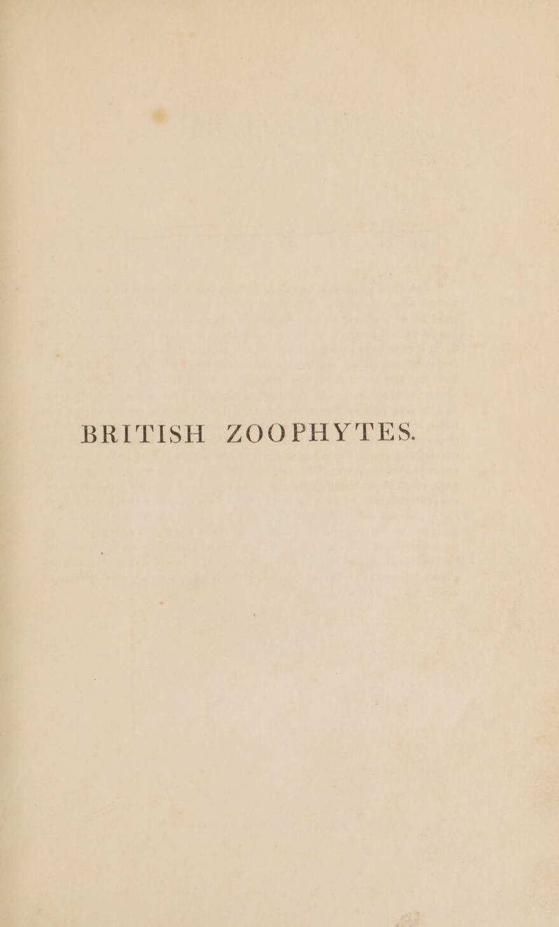 BRITISH ZOOPHYTES.