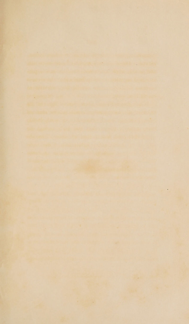 D inieelties Ei dirvencken Sk a 2, es ane ee Sa PRET eS ee. Pesaro TRS: ne ee eee eee ee | yey. ae ea Ss ere Santee he a fee saath 4'S > RSP pals seep Sega ae SRS Pre ; 3 | nese “pth vane 2pm a sl Rn Somme lads aise ee os BR Aaa Sp RT SS ERS Caw Me ae eeGas Lert Peete Sie soy ateteon ae Pea, he Rana oy Ader 4 ies a an ati oe ata a aa ae ge bi aes ar a AL 4 a : a rf weit * an oak