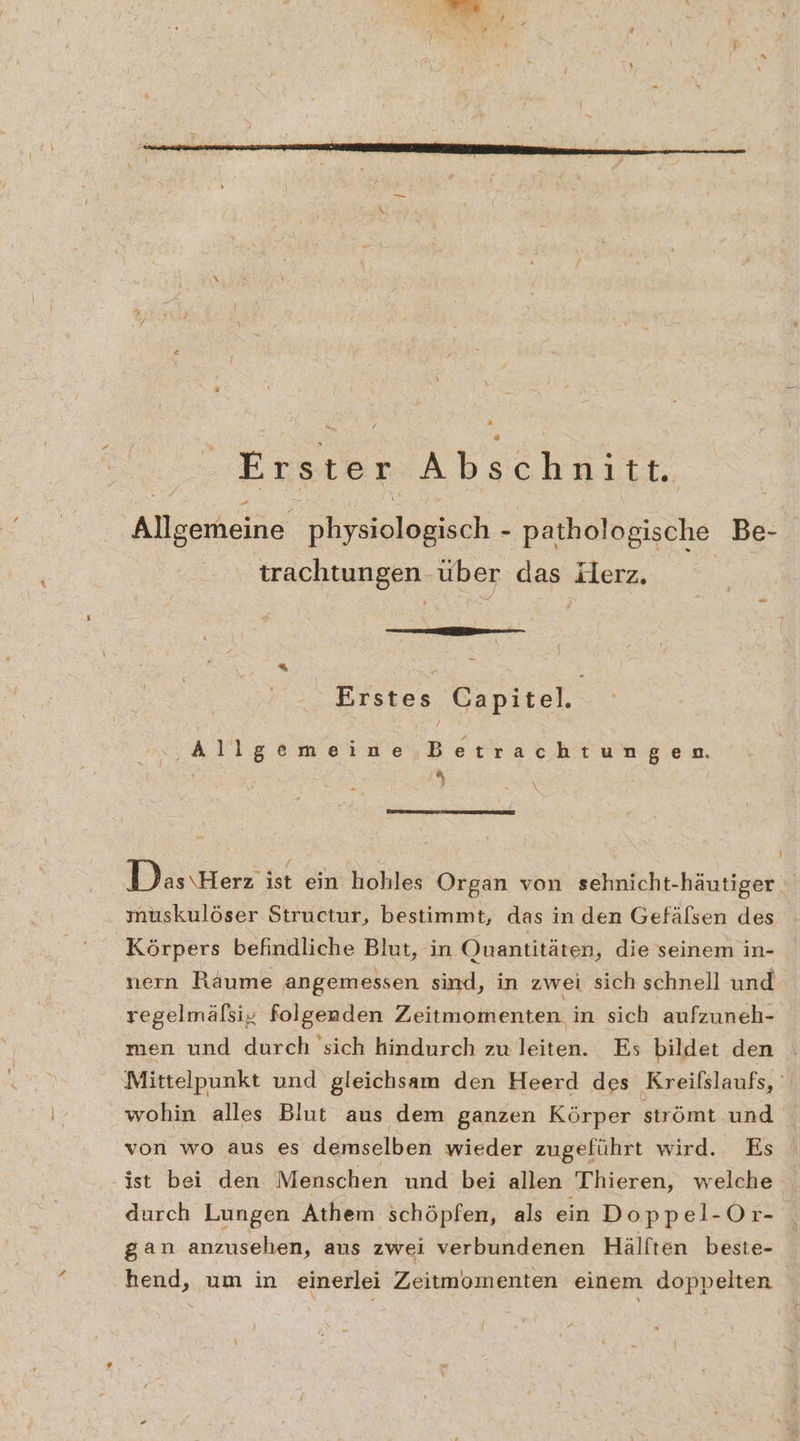 Erster Abschnitt. Allgerheine Biss pathologische Be- trachtungen über das Kerz. er Erstes Capitel. Allgemeine Betrachtungen. | y Das ‘Herz ist ein: hohles Organ von sehnicht-häutiger muskulöser Structur, bestimmt, das in den Gefälsen des Körpers befindliche Blut, in Onantitäten, die seinem in- nern Räume angemessen sind, in zwei sich schnell und regelmäfsiy folgenden Zeitmomenten in sich aufzuneh- men und durch sich hindurch zu leiten. Es bildet den Mittelpunkt und gleichsam den Heerd des Kreifslaufs, wohin alles Blut aus dem ganzen Körper strömt und von wo aus es demselben wieder zugeführt wird. Es ist bei den Menschen und bei allen Thieren, welche durch Lungen Athem schöpfen, als ein Doppel-Or- gan anzusehen, aus zwei verbundenen Hälften beste- hend, um in einerlei Zeitmomenten einem doppelten