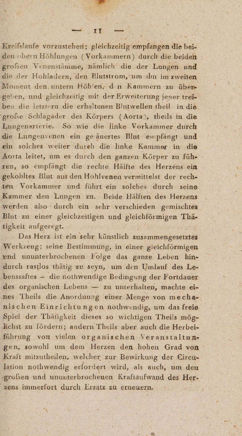 Kreifslaufe vorzustehen; gleichzeitig empfangen die bei- den obern Höhlungen ( Vorkammern) durch die beiden grofsen Venenstämme, nämlich die der Lungen und Moinent den untern Höhlen, dn Kammern zu über geben, und gleichzeitig. mit der Erweiterung j jener trei- ‘grolse Schlagader des Körpers (Aorta), theils in die Lungenarterie. So wie die linke Vorkammer durch die Lungenvenen ein ge'äuertes Blut empfängt und ein solches weiter dureh die linke Kammer in die Aorta leitet, um es durch den ganzen Körper zu füh« zen, so empfängt die rechte Hälfte des Herzens ein gekohltes Blut aus den Hohlvenen vermittelst der rech- ten Vorkammer und führt ein solches durch seine ‚Kammer den Lungen zu. Beide Hälften des Herzens ‚werden ‚also durch ein sehr verschieden gemischtes Blut zu einer gleichzeitigen und gleichförmigen Thä- digkeit aufgeregt. £ Das Herz ist ein sehr künstlich zen sea Werkzeng; seine: Bestimmung, in einer gleichförmigen end ununterbröchenen Folge das ganze Leben hin- durch rastlos thätig zu seyn, um den Umlauf des Le- ‚benssaftes — die xothwendige Bedingung der Fortdauer des organischen Lebens — zu unterhalten, machte ei- nischen Einrichtu ngen nothwendig, um das freie Spiel der Thätigkeit dieses so wichtigen Theils mög- lichst zu fördern; andern Theils aber auch die Herbei- führung von vielen organischen Veranstaltun- gen, sowohl um dem Herzen den hohen Grad von Kraft mitzutheilen, welcher zur Bewirkung der Eircu- lation nothwendig erfordert wird, als auch, um den zens immerfort durch Ersatz zu erneuern. 1