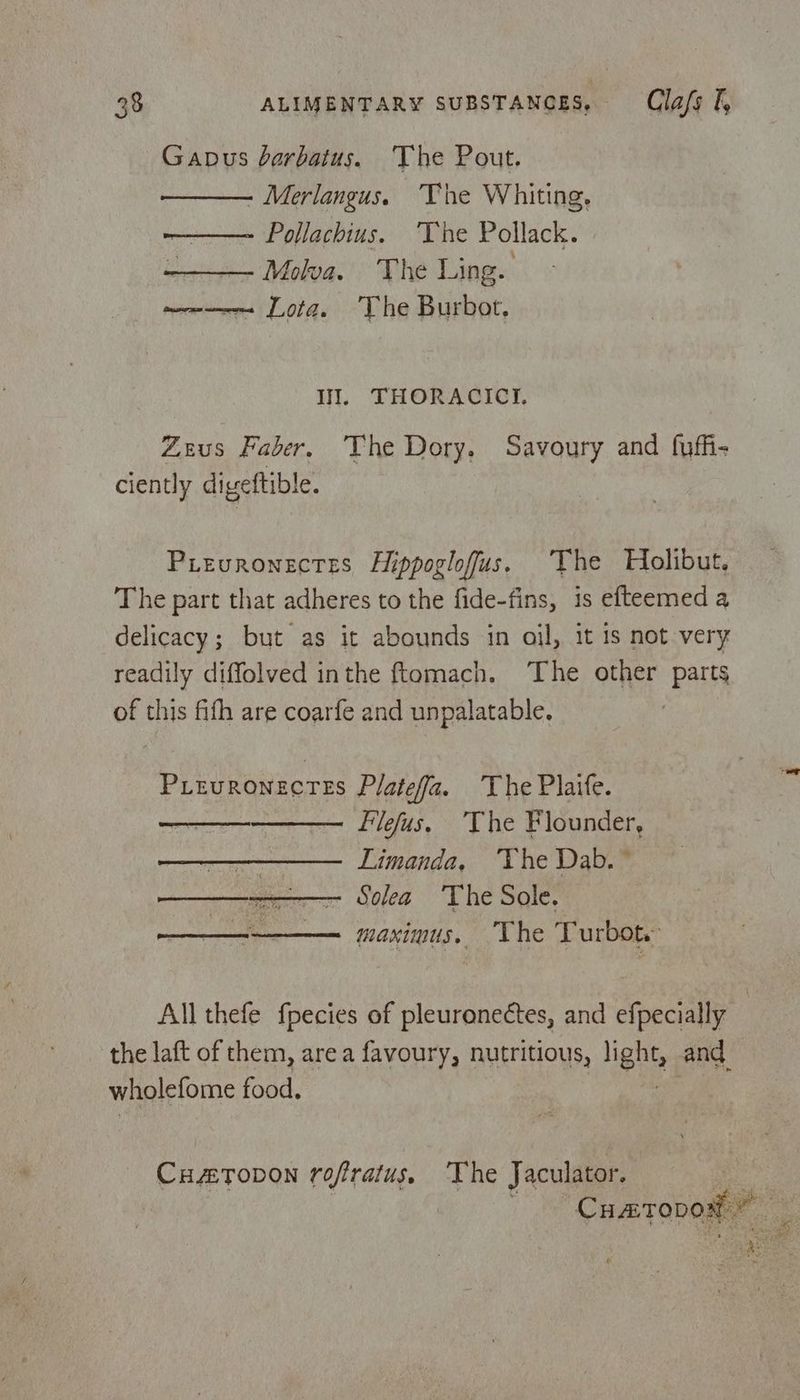 Gapus barbatus. ‘The Pout. - Merlangus. ‘The Whiting. ~— Pollachius. ‘Tne Pollack. ———— Molva. The Ling. moms Jotg. The Burbot. It. THORACICI. Zeus Faber, The Dory. Savoury and fuffi- ciently digeftible. Prevronectes Hippoglofus. The Holibut, The part that adheres to the fide-fins, is efteemed a delicacy; but as it abounds in oil, it is not very readily diffolved inthe ftomach. ‘The other pals of this fifth are coarfe and unpalatable. Pieuronectes Platefa. ‘The Plaife. Filefus. ‘The Flounder, Limanda, TVhe Dab. © - Solea ‘The Sole. maximus. The Turbot. Nhe fay All thefe fpecies of pleuronectes, and efpecially | the laft of them, area favoury, nutritious, hight, and wholefome food. Cutopon rofratus. The Jaculator. Cuatopod ©