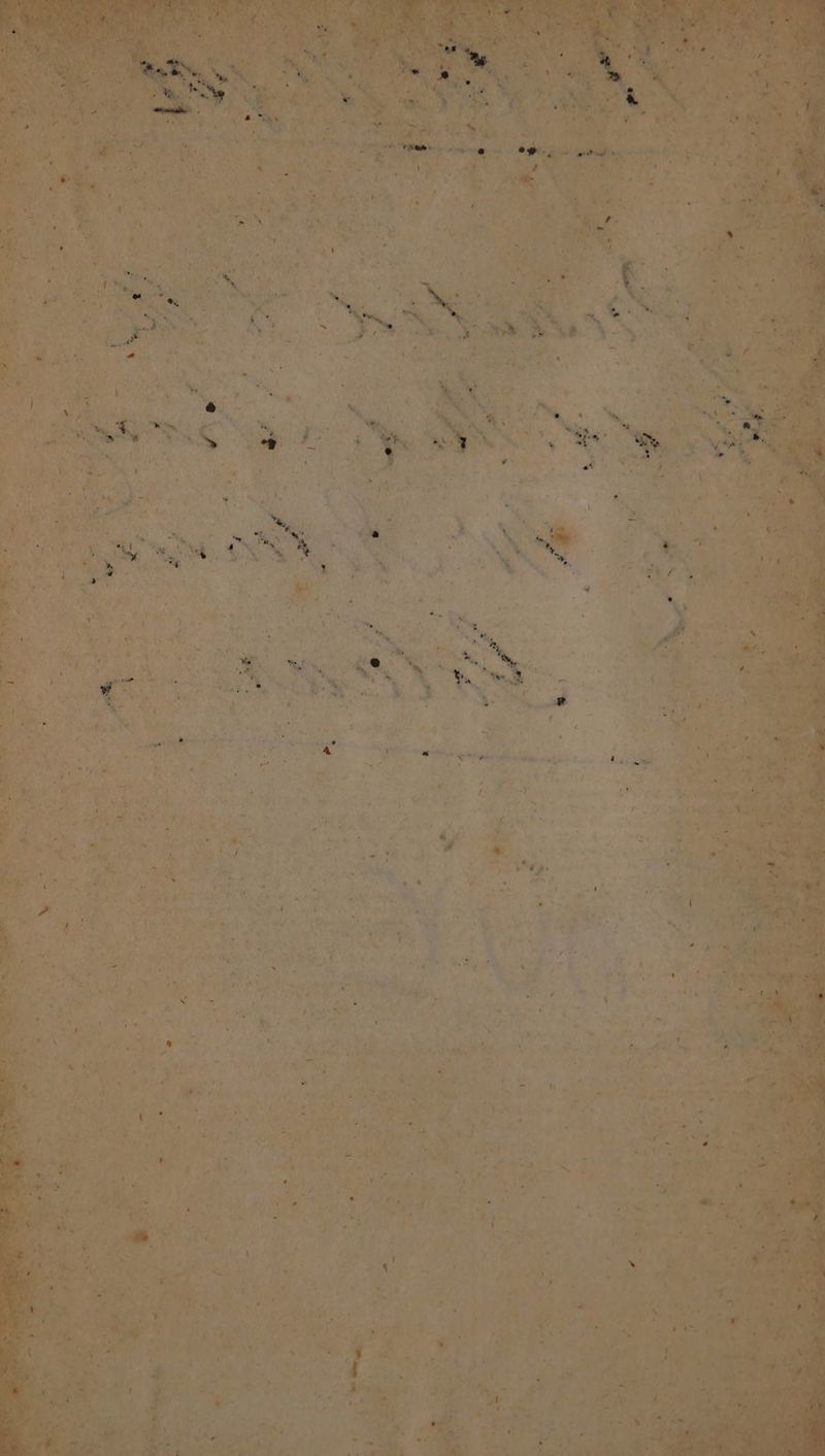 eh te . ay > A aN A tag Pa any ¢ nie eR tag .% A ote ie A RY 3 ee g * Paes Hoa *) bitevas fates