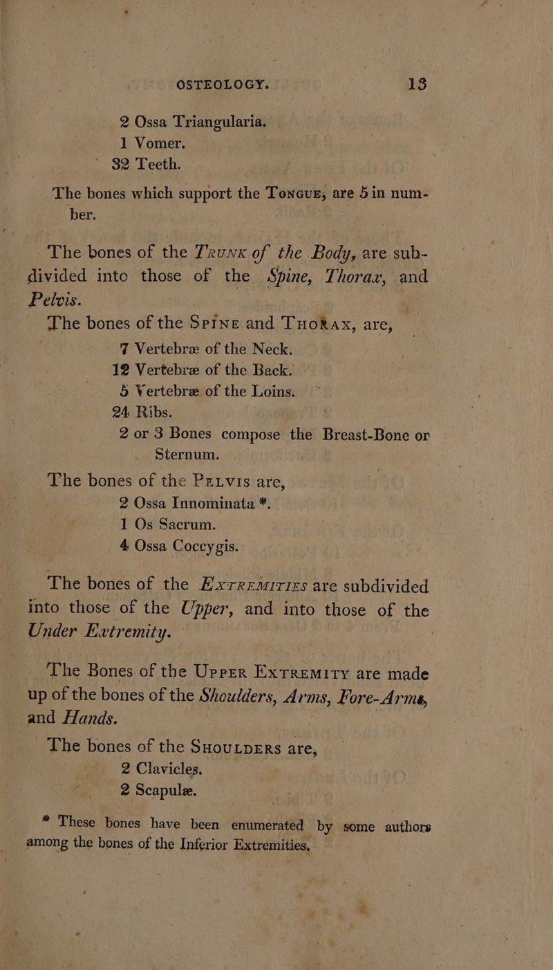 2 Ossa Triangularia. 1 Vomer. ' 32 Teeth. The bones which support the Tonevz, are 5in num- ber. | The bones of the Truk of the Body, are sub- divided inte those of the Spine, Thorax, and Pelvis. The bones of the Sprne and TuoRax, are, 7 Vertebre of the Neck. 12 Vertebre of the Back. 5 Vertebre of the Loins. 24: Ribs. 2 or 3 Bones compose the Breast-Bone or Sternum. The bones of the Pztvis are, 2 Ossa Innominata *. 1 Os Sacrum. _ 4 Ossa Coccygis. The bones of the Exrremirties are subdivided into those of the Upper, and into those of the Under Extremity. The Bones of the Upper Extremity are made up of the bones of the Shoulders, Arms, For e- Arms, and Hands. _ The bones of the SHouLpERS 2s 2 Clavicles. 2 Scapulee. * These ics have i enumerated by some authors among the bones of the Inferior Extremities,