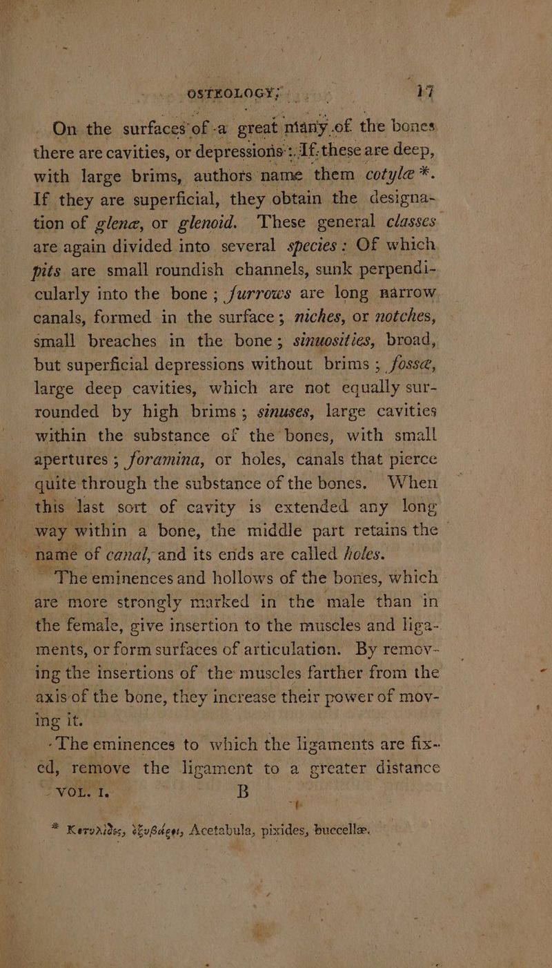 OsTEOLOGY; haw iay ae F On the avi acl of- a great many of the bones there are cavities, or depressions: Af.these are deep, with large brims, authors name them cotyle*. If they are superficial, they obtain the designa~ tion of glena, or glencid. These general classes are again divided into several species: Of which “pits are small roundish channels, sunk perpendi- cularly into the bone; furrows are long narrow canals, formed in the surface; miches, or notches, small breaches in the bone; simuosities, broad, but superficial depressions without brims ; fosse, large deep cavities, which are not equally sur- rounded by high brims; sinuses, large cavities within the substance of the bones, with small apertures ; foramina, or holes, canals that pierce quite through the substance of the bones. When this last sort of cavity is extended any long way within a bone, the middle part retains the bi name of canal, and its ends are called /cles. ~ The eminences and hollows of the bones, which are more strongly marked in the male than in the female, give insertion to the muscles and liga- ments, or form surfaces of articulation. By remov- ing the insertions of the muscles farther from the axis of the bone, they j increase their power of moy- Ing it. -The eminences to which the ligaments are fix- | remove the ligament to a greater distance “VOL. le | B << * Kervaides, vSaeer, Acetabula, pixides, buccelle.