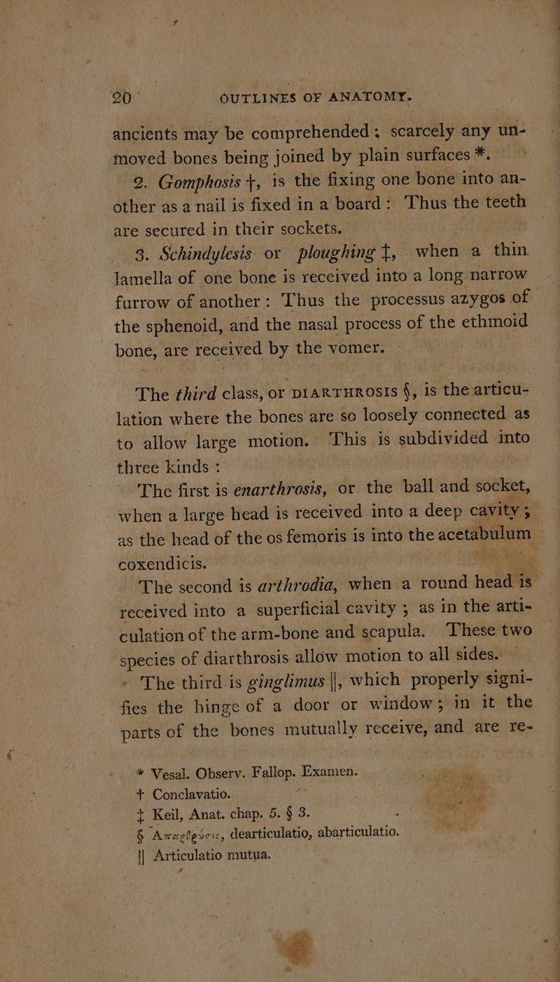 ancients may be comprehended; scarcely any un- i bones being joined by plain surfaces *. 2. Gomphosis +, is the fixing one bone into an- ther as a nail is fixed in a board: Thus the oie are secured in their sockets. 3. Schindylesis- or ploughing ft, when a thin lamella of one bone is received into a long narrow the sphenoid, and the nasal process of the ie bong are received by the vomer, The third class, or prarturosis §, is the articu- lation where the bones are so loosely connected as to allow large motion. This is subdivided into three kinds : | | The first is enarthrosis, or the ball and socket, when a large head is received into a deep cavity ; as the head of the os femoris 1s into the acetabulum coxendicis. . received into a superficial cavity ; as in the arti- culation of the arm-bone and scapula. These two species of diarthrosis allow motion to all sides. - The third is ginglimus ||, which properly signi- fies the hinge of a door or window; in it the parts of the bones mutually receive, and are re- * Vesal. Observ. ie ice i aie: 4 Conclavatio. | t Keil, Anat. chap. 5. § 3. i le 5 Amaglevcs, dearticulatio, a abarticulatio.  | Articulatio mutya, =